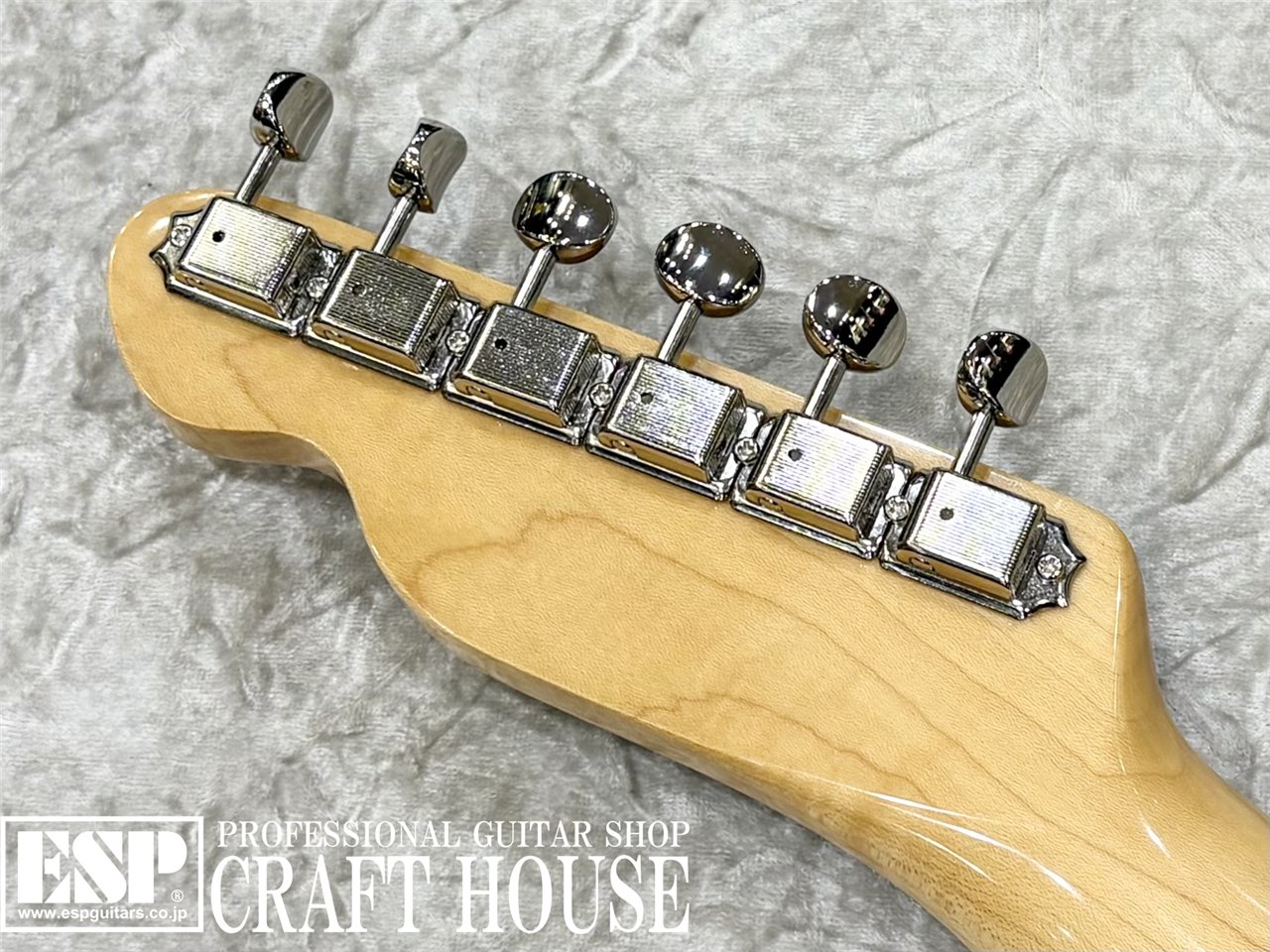 【即納可能】Tokai ATE-101-THN / US Blonde 渋谷店 - 8