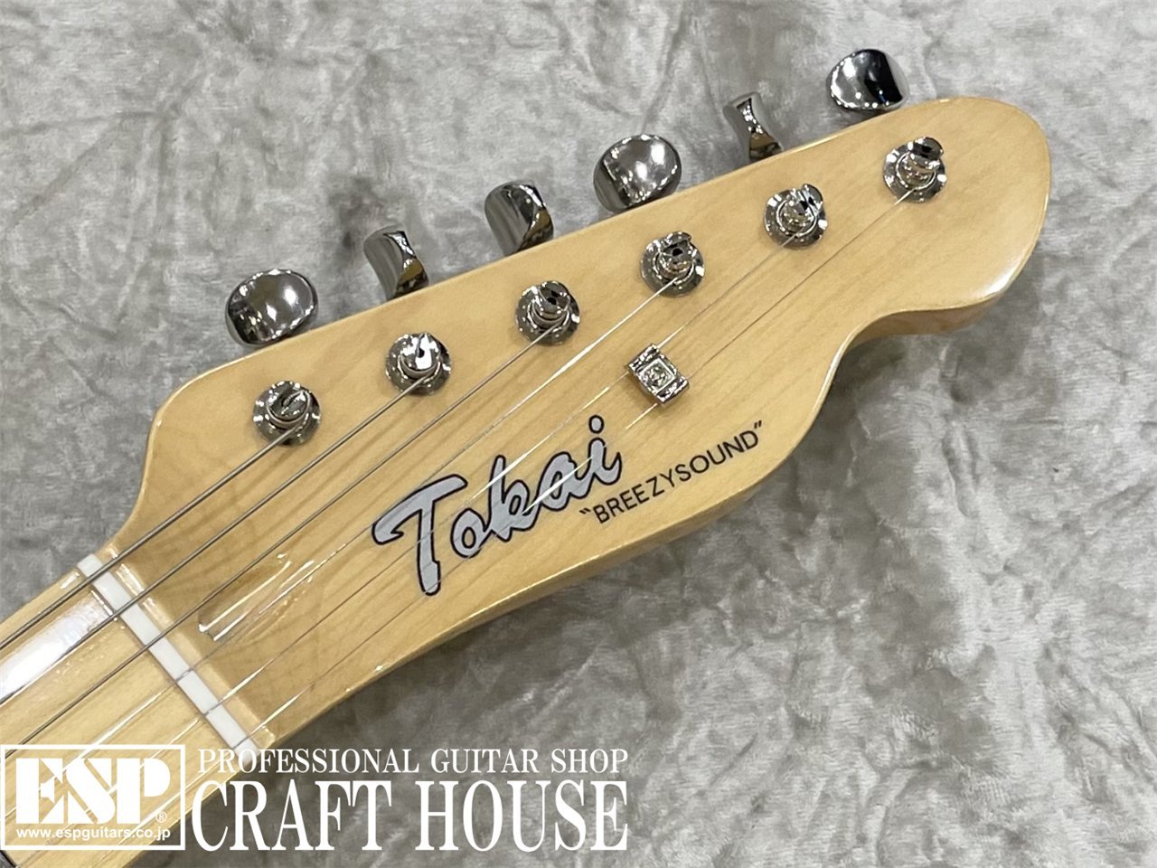 【即納可能】Tokai ATE-101 / S-THN / Sonic Blue 渋谷店 - 4