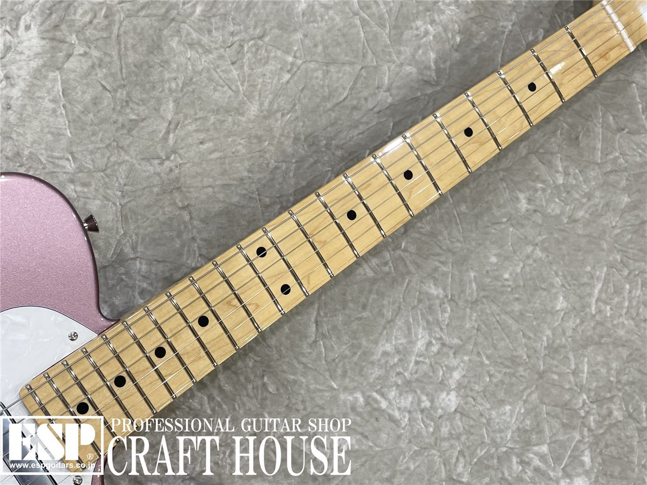 【即納可能】Tokai ATE-101-THN / Burgundy Mist Metallic 渋谷店 - 3