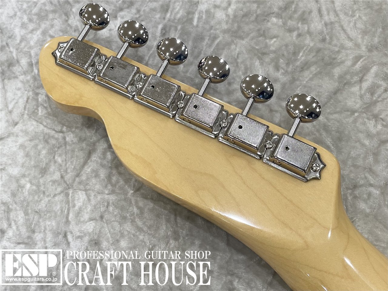 【即納可能】Tokai ATE-101-THN / Burgundy Mist Metallic 渋谷店 - 8