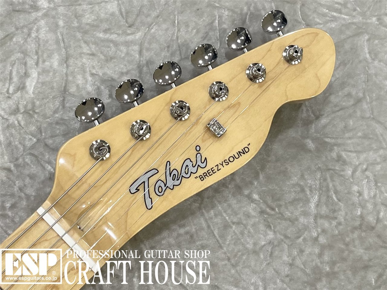 【即納可能】Tokai ATE-101-THN / Burgundy Mist Metallic 渋谷店 - 4