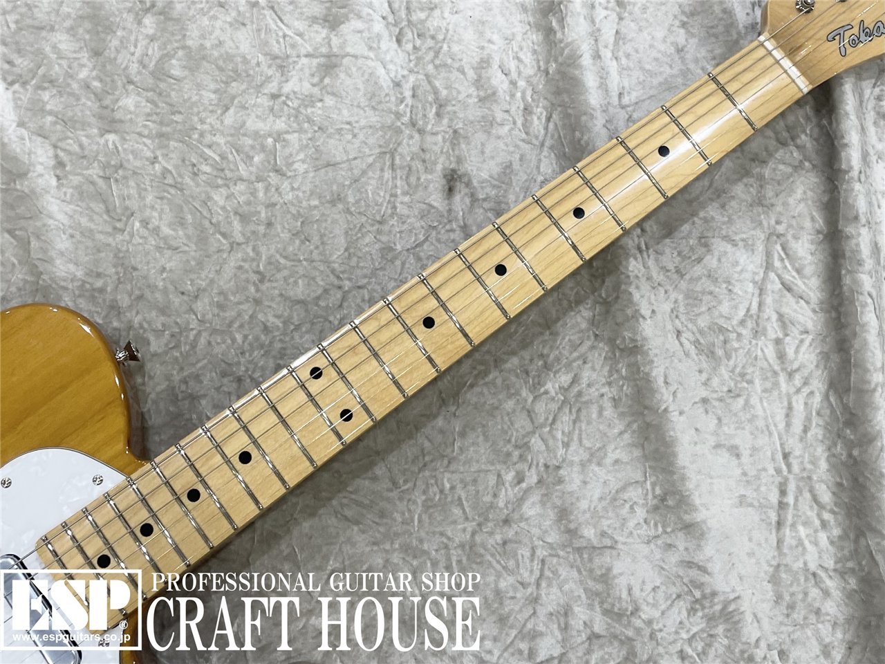 【即納可能】Tokai 	ATE-101-THN / Vintage Natural 渋谷店 - 3