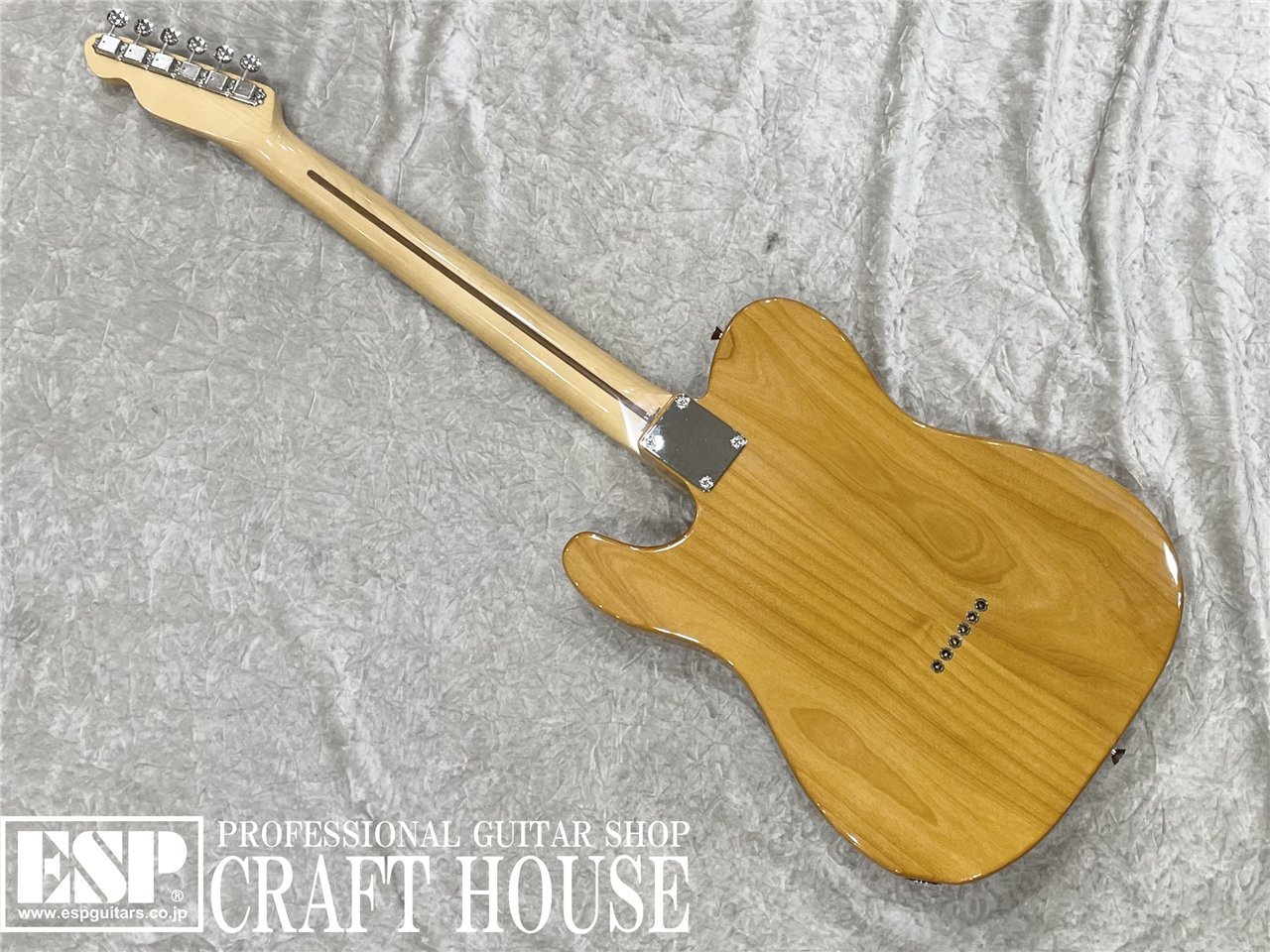【即納可能】Tokai 	ATE-101-THN / Vintage Natural 渋谷店 - 5