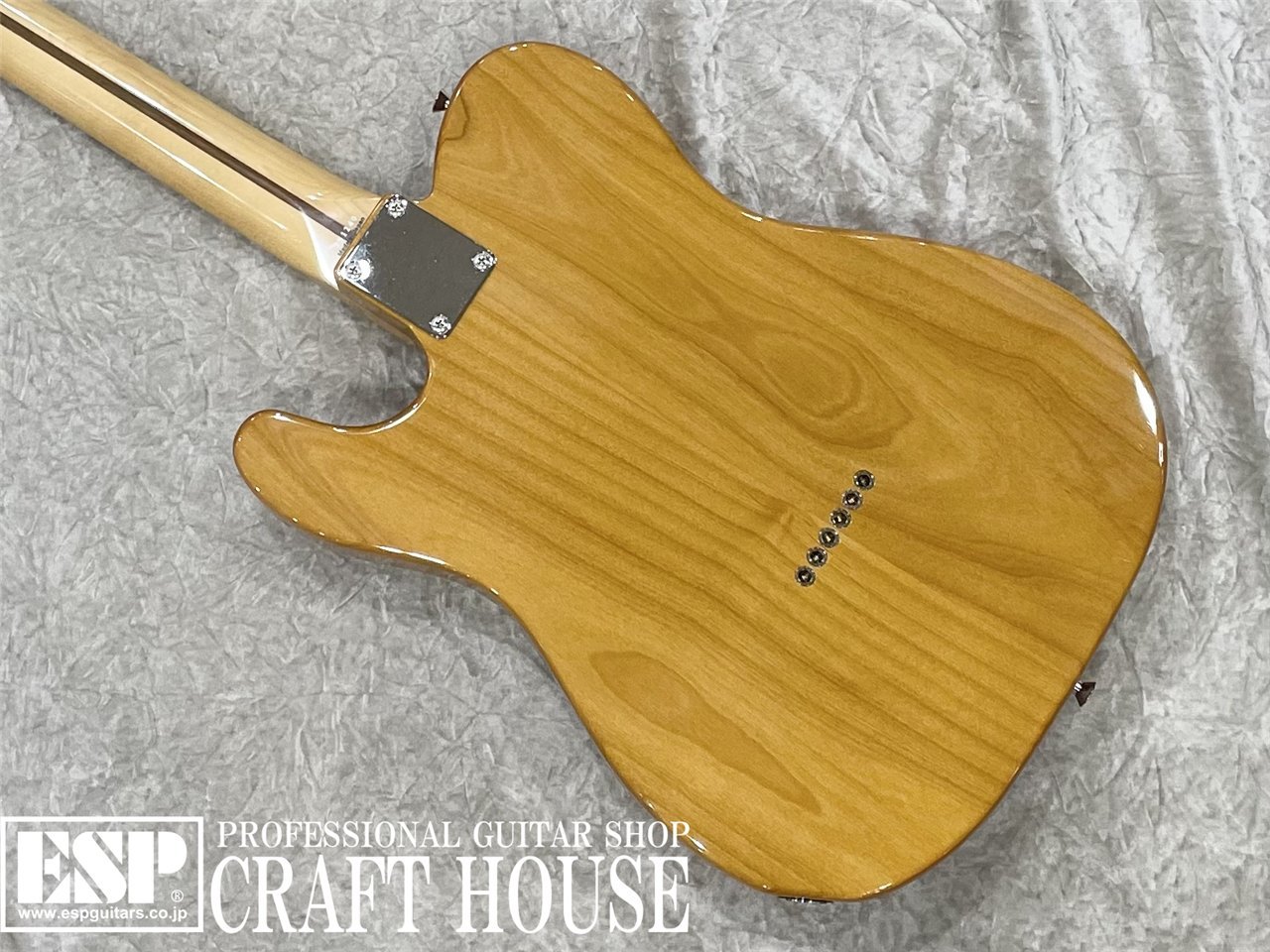 【即納可能】Tokai 	ATE-101-THN / Vintage Natural 渋谷店 - 6