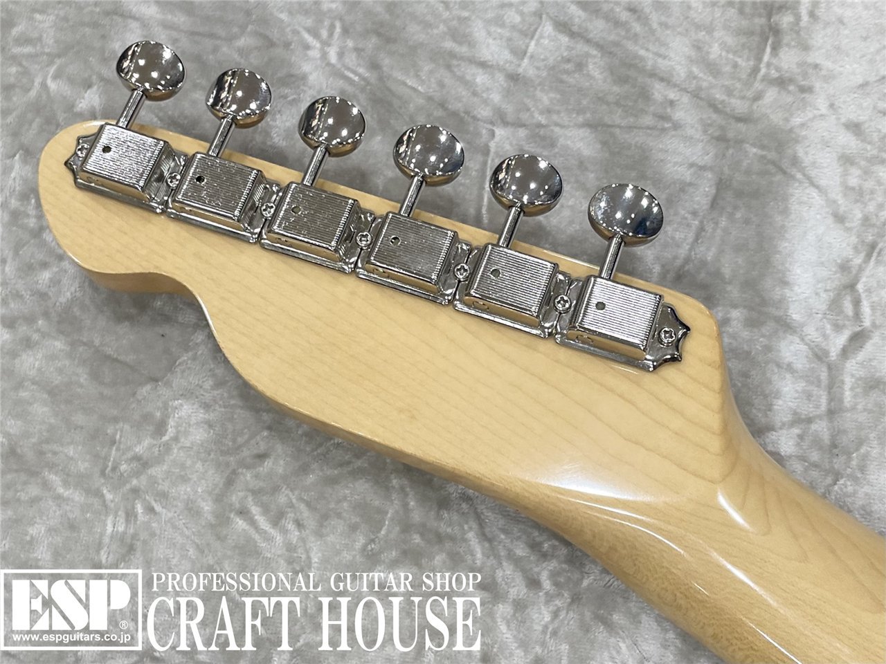 【即納可能】Tokai 	ATE-101-THN / Vintage Natural 渋谷店 - 8