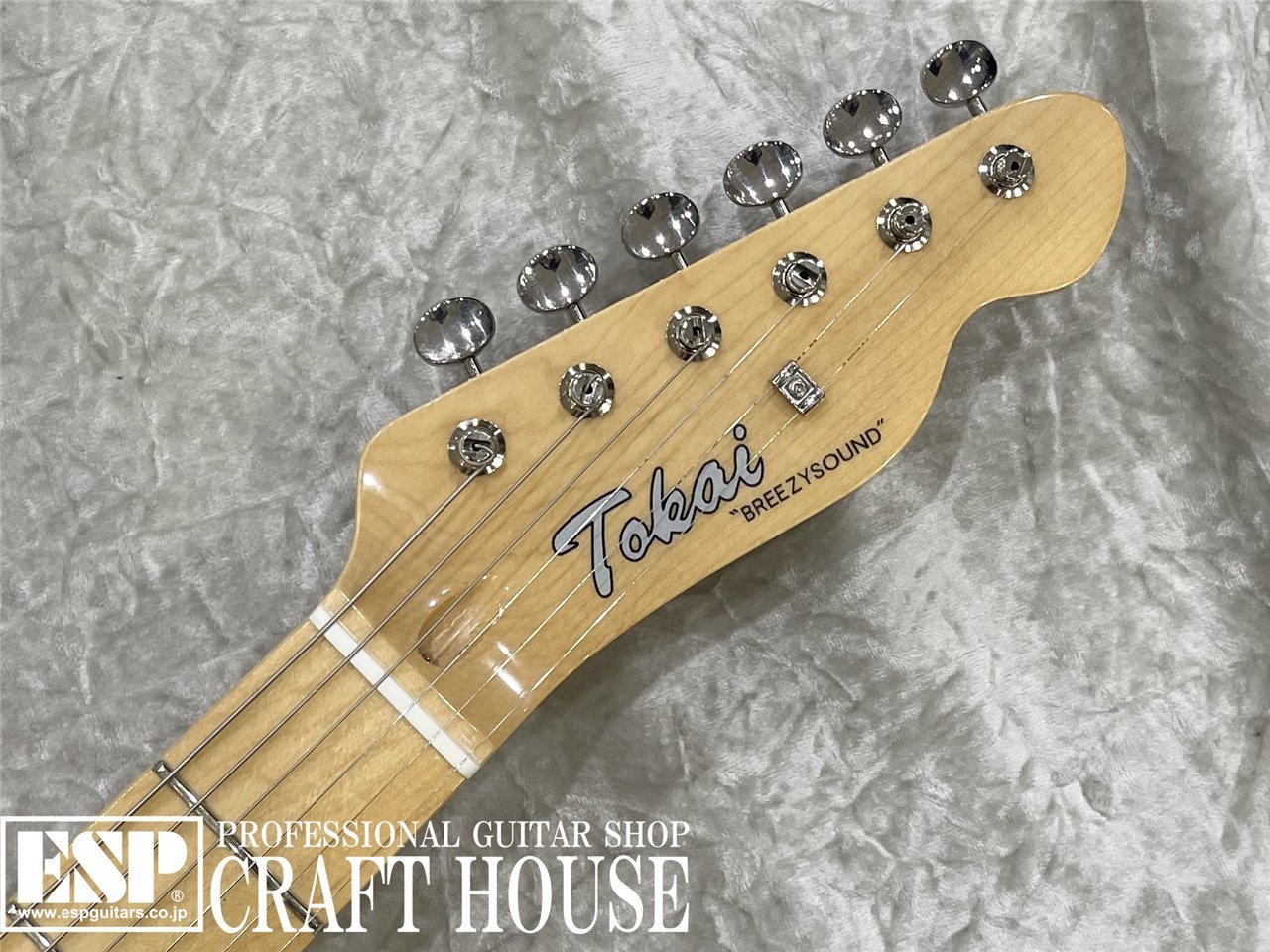 【即納可能】Tokai 	ATE-101-THN / Vintage Natural 渋谷店 - 4