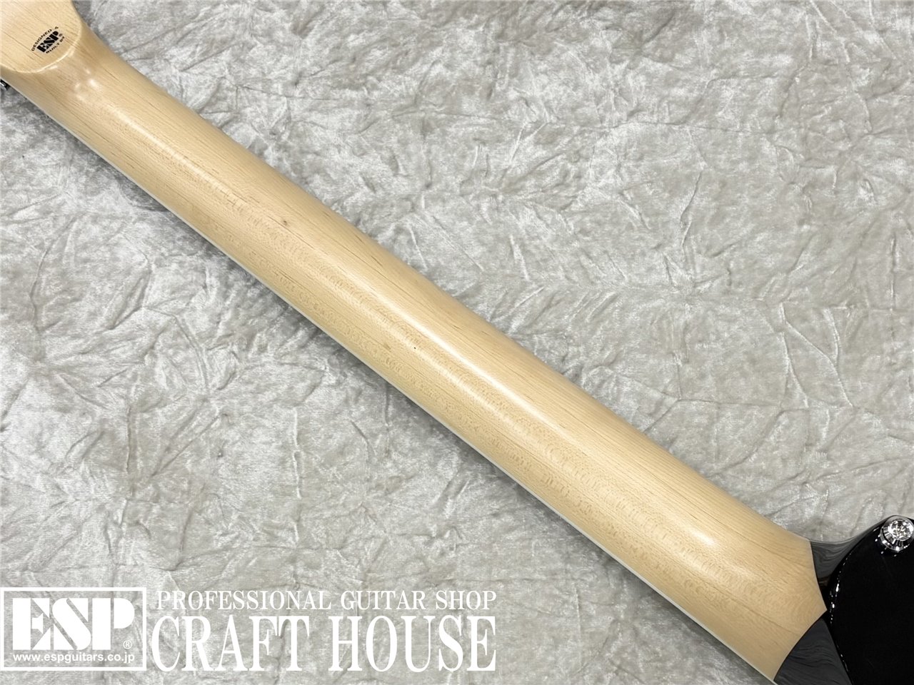 【即納可能】 EDWARDS E-ALEXI GREENY / Black with Lime Green Pinstripe & Skull　渋谷店