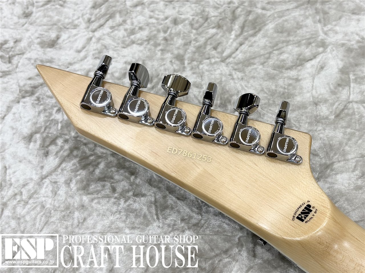 【即納可能】 EDWARDS E-ALEXI GREENY / Black with Lime Green Pinstripe & Skull　渋谷店