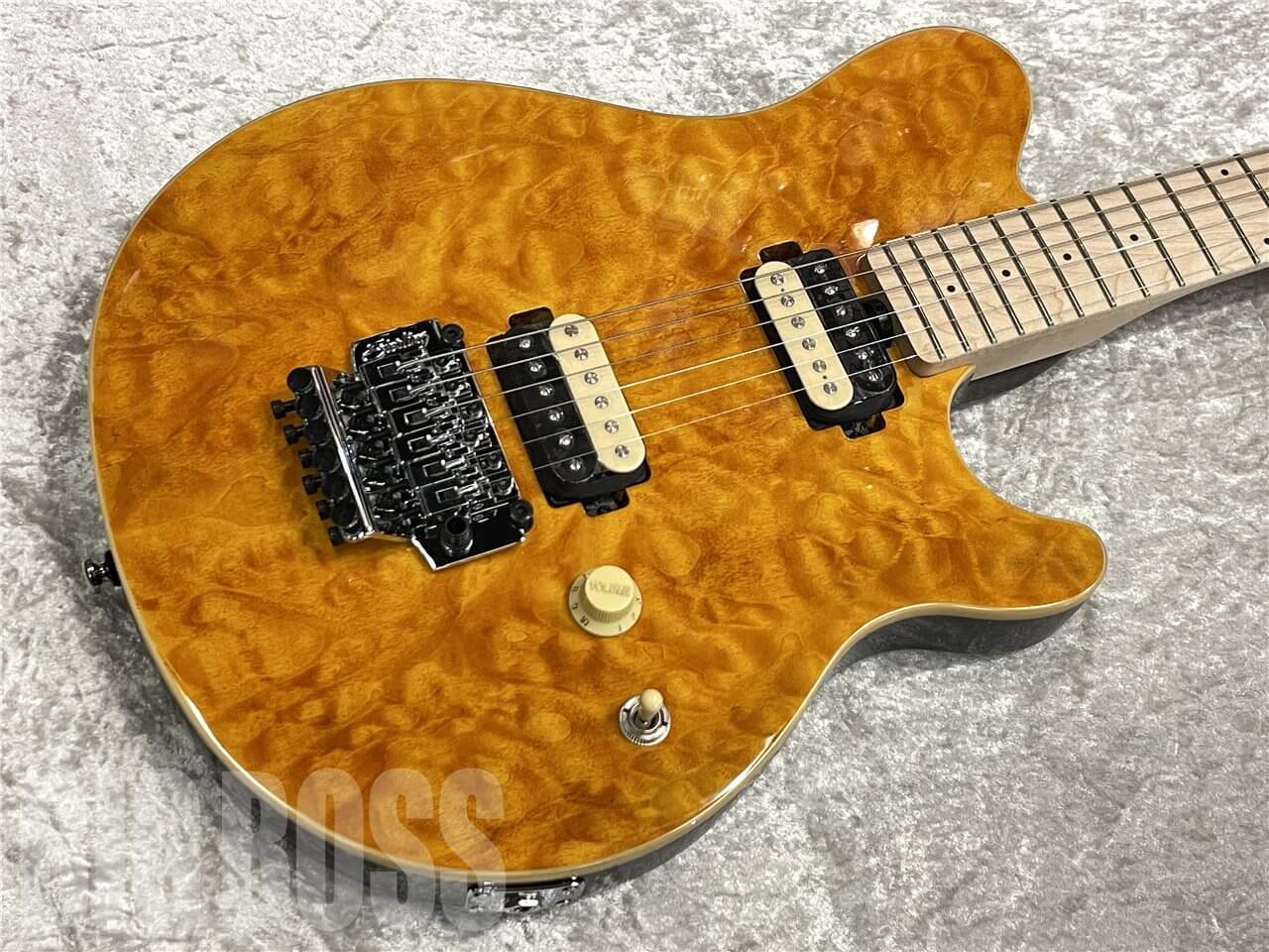 【即納可能】Sterling by MUSIC MAN（スターリンバイミュージックマン）AX40（Transparent Gold）　名古屋店