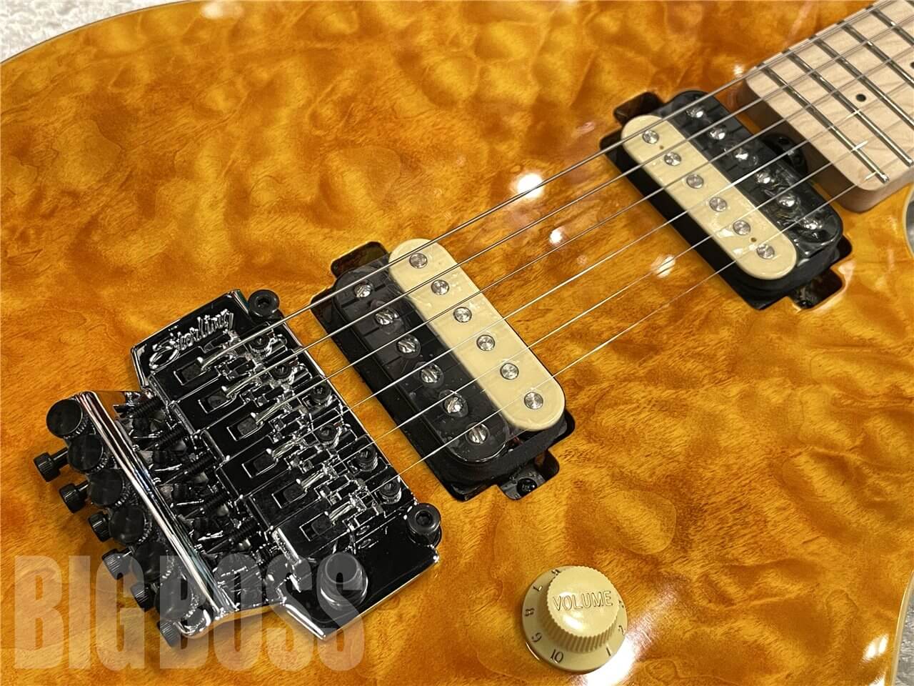 【即納可能】Sterling by MUSIC MAN（スターリンバイミュージックマン）AX40（Transparent Gold）　名古屋店