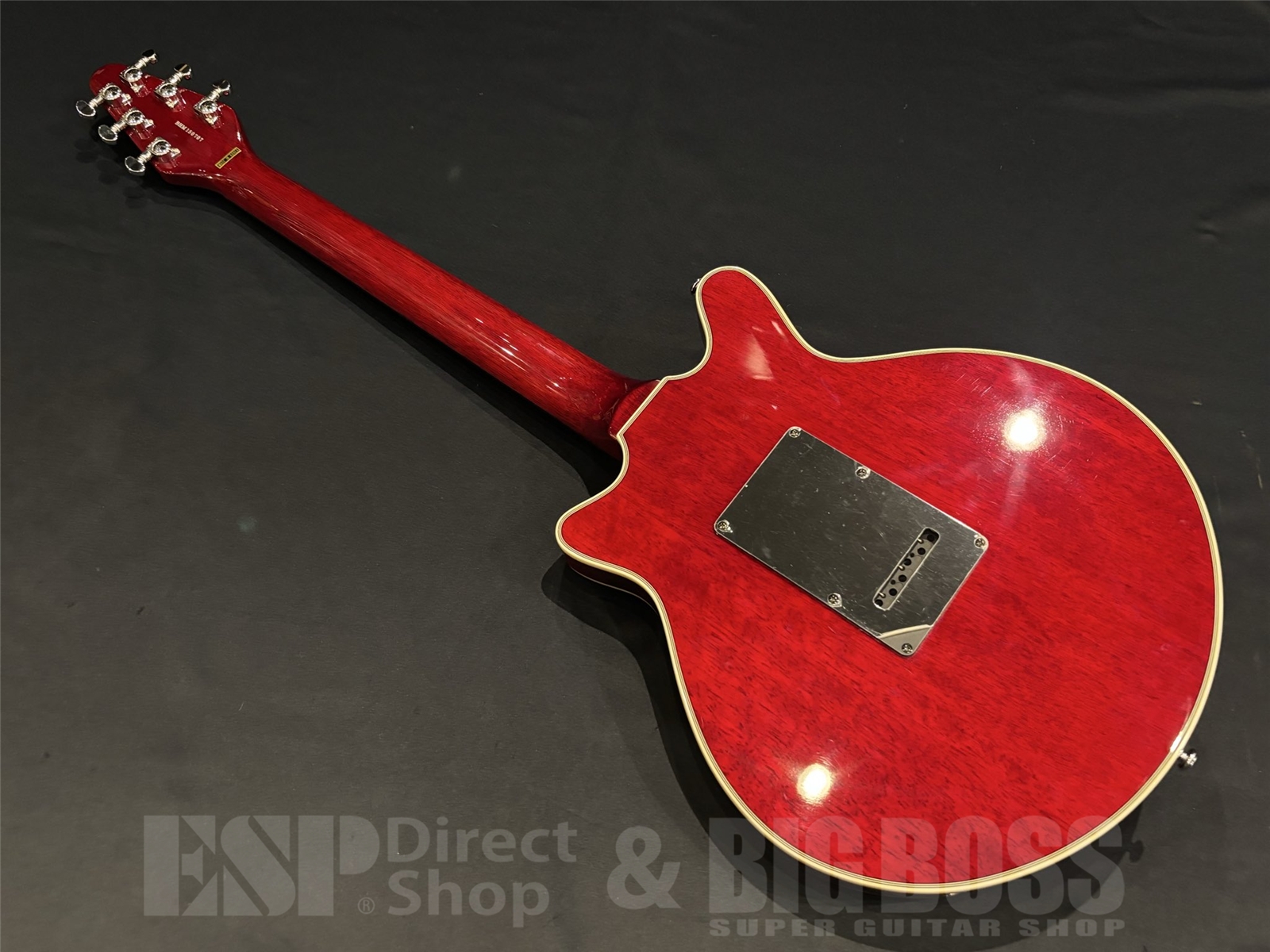 ☆ブライアンメイのモデル？ 6スイッチ搭載したFERNANDES ST