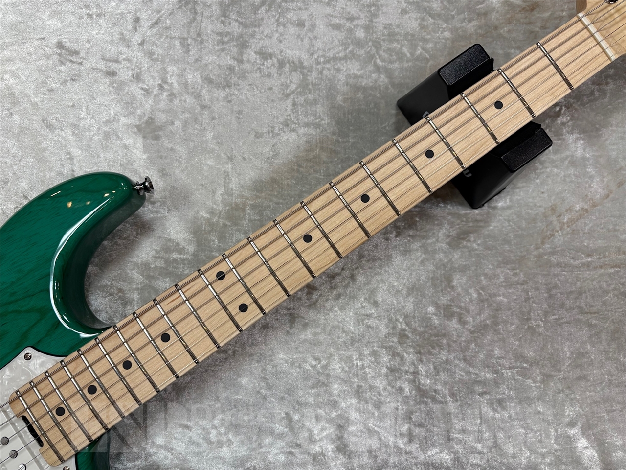 【即納可能】EDWARDS E-SNAPPER-AS/M /Turquoise GWS - 6