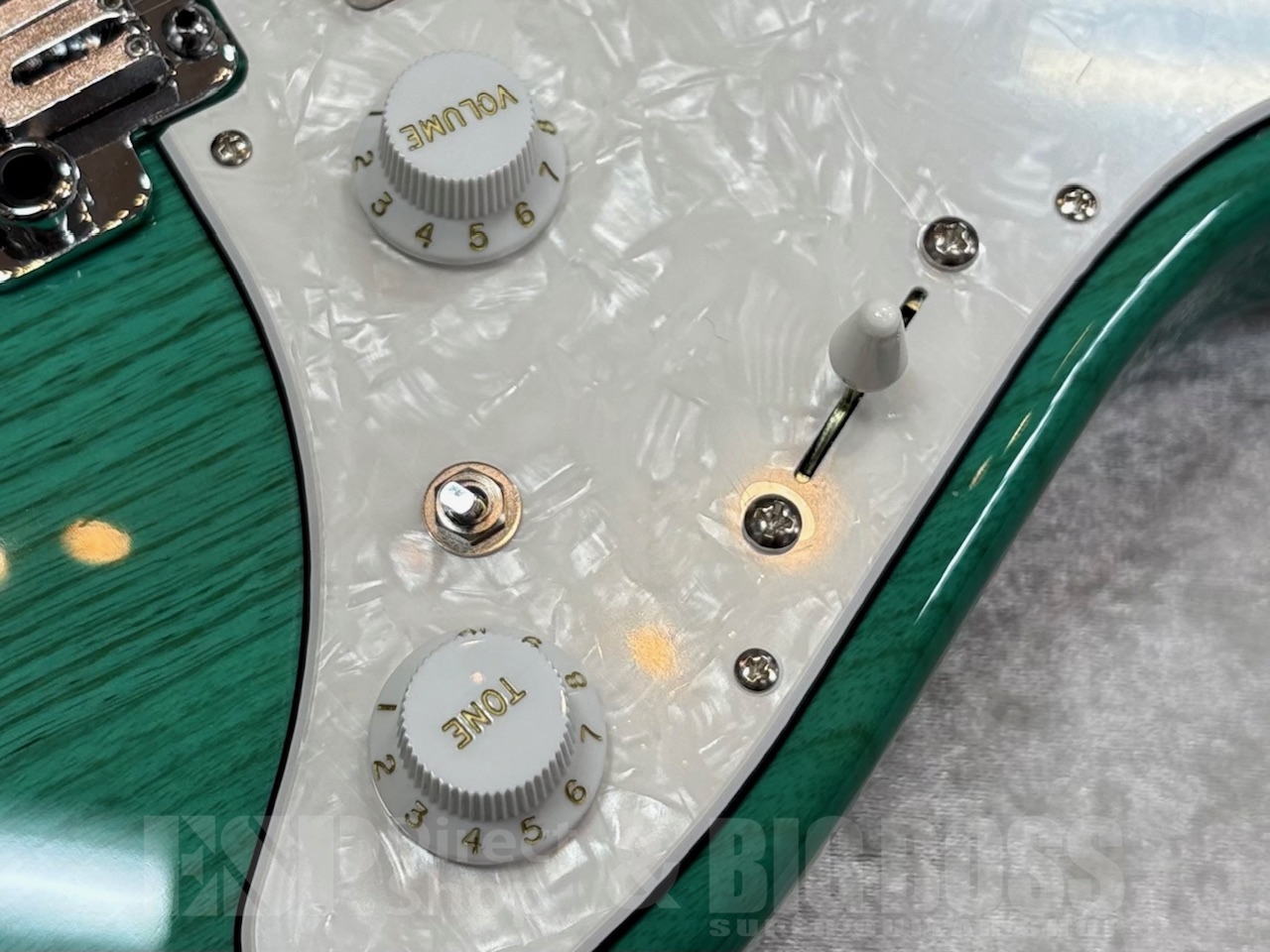 【即納可能】EDWARDS E-SNAPPER-AS/M /Turquoise GWS - 5