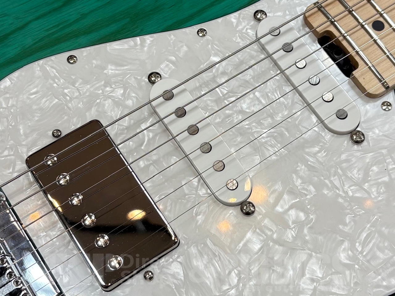 【即納可能】EDWARDS E-SNAPPER-AS/M /Turquoise GWS - 4