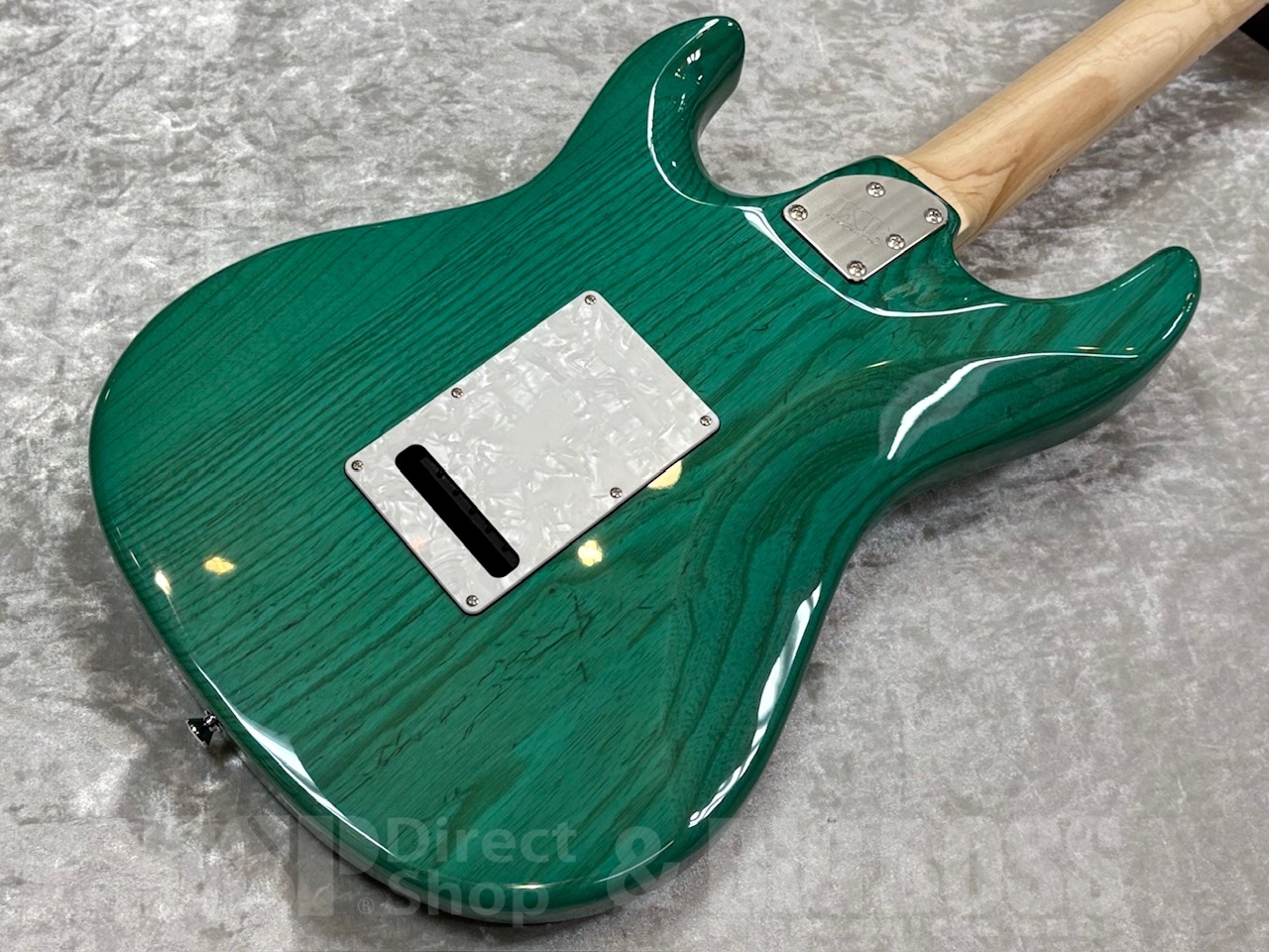 【即納可能】EDWARDS E-SNAPPER-AS/M /Turquoise GWS - 9