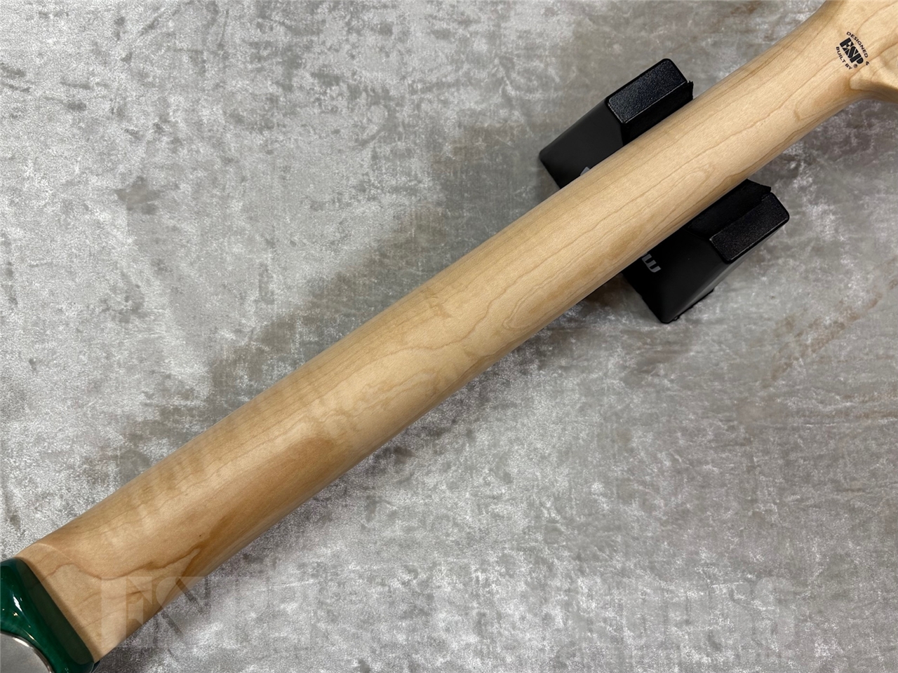 【即納可能】EDWARDS E-SNAPPER-AS/M /Turquoise GWS - 10