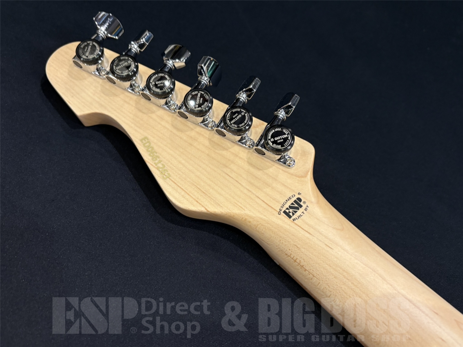 【即納可能】EDWARDS(エドワーズ) E-SNAPPER-AS/M / See Thru Blue Sunburst 京都店 - 11