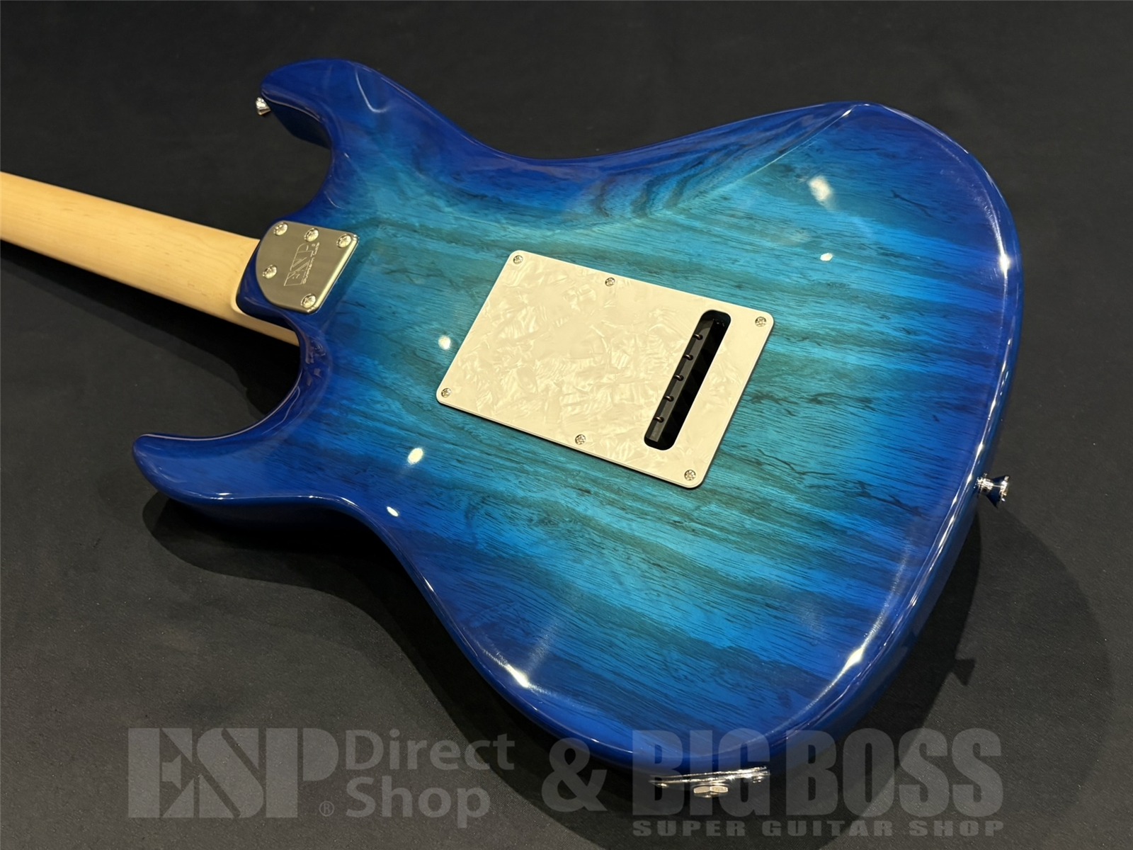 【即納可能】EDWARDS(エドワーズ) E-SNAPPER-AS/M / See Thru Blue Sunburst 京都店 - 9