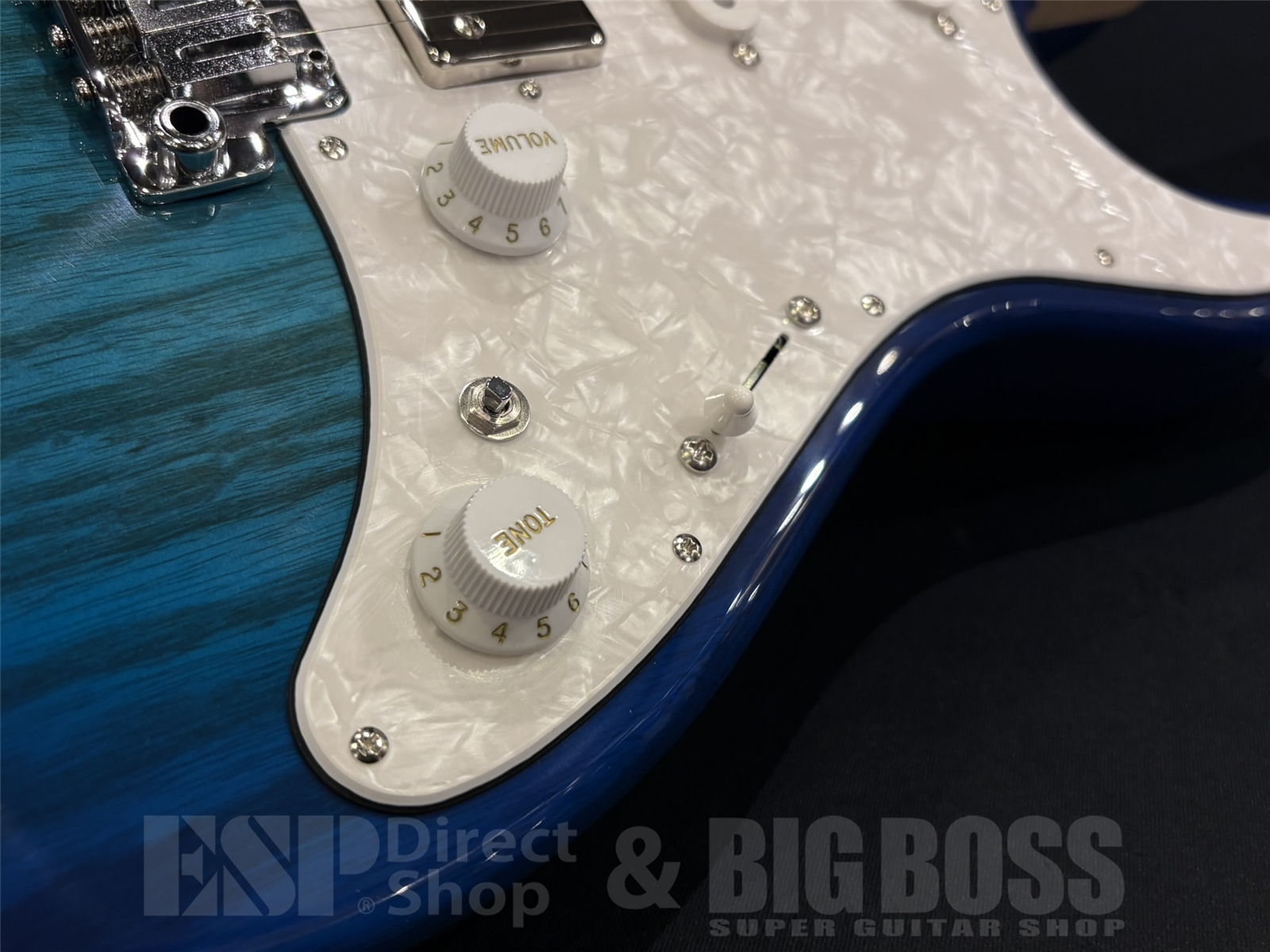 【即納可能】EDWARDS(エドワーズ) E-SNAPPER-AS/M / See Thru Blue Sunburst 京都店 - 4