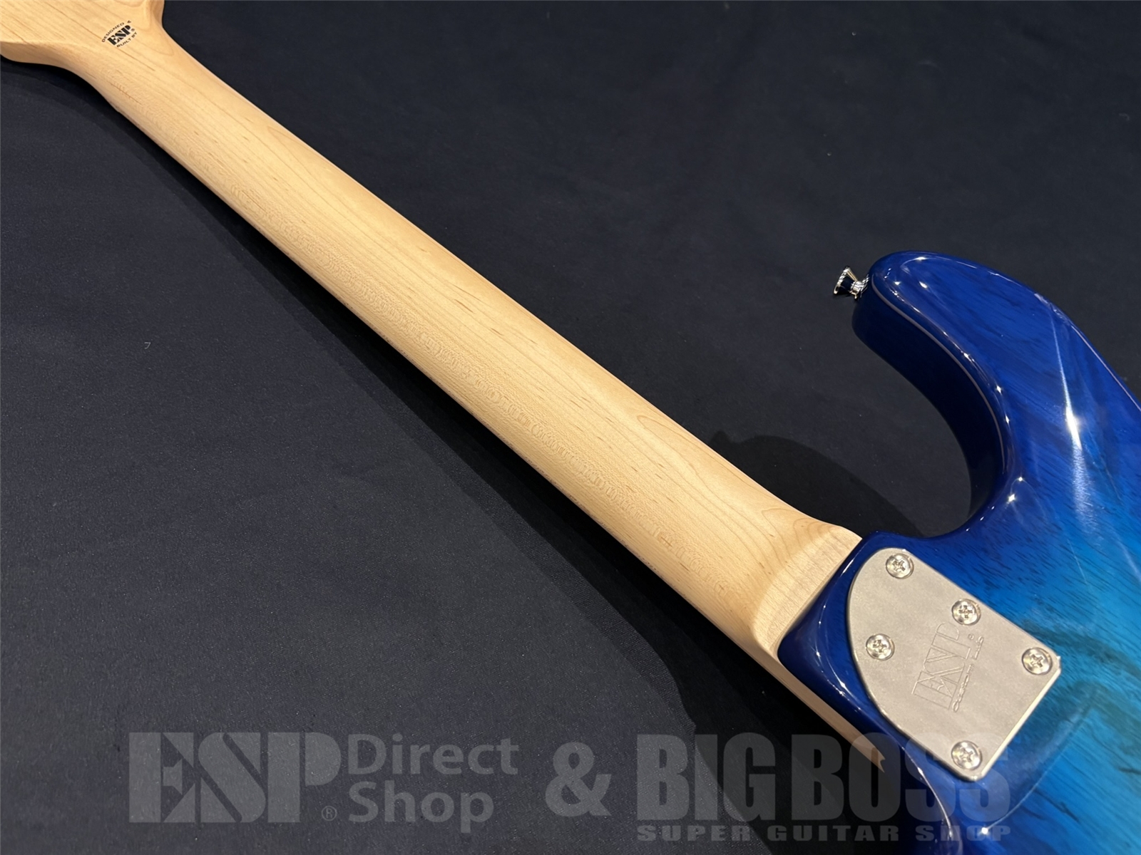 【即納可能】EDWARDS(エドワーズ) E-SNAPPER-AS/M / See Thru Blue Sunburst 京都店 - 10