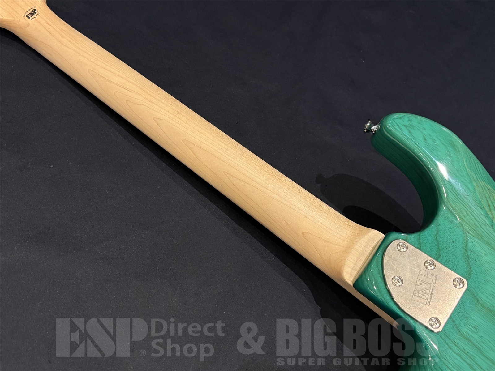 【即納可能】EDWARDS(エドワーズ) E-SNAPPER-AS/M / Turquoise 京都店 - 10