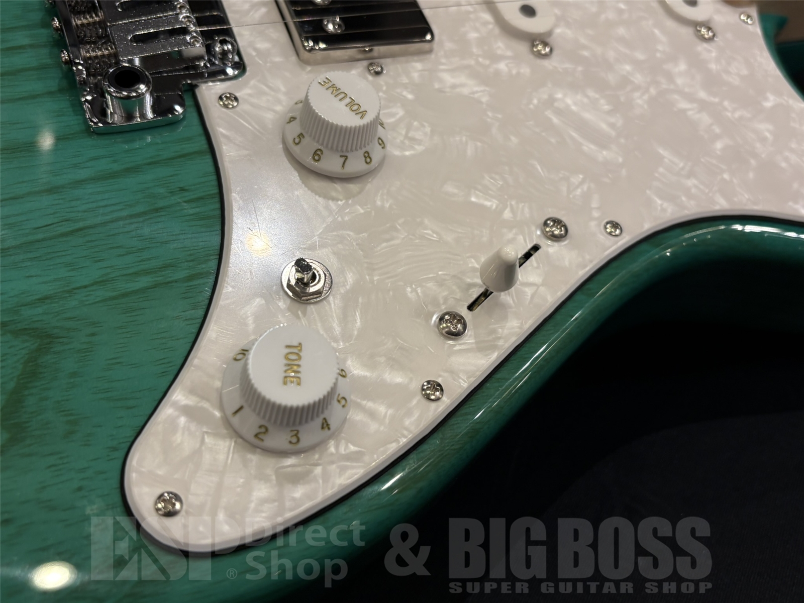 【即納可能】EDWARDS(エドワーズ) E-SNAPPER-AS/M / Turquoise 京都店 - 4