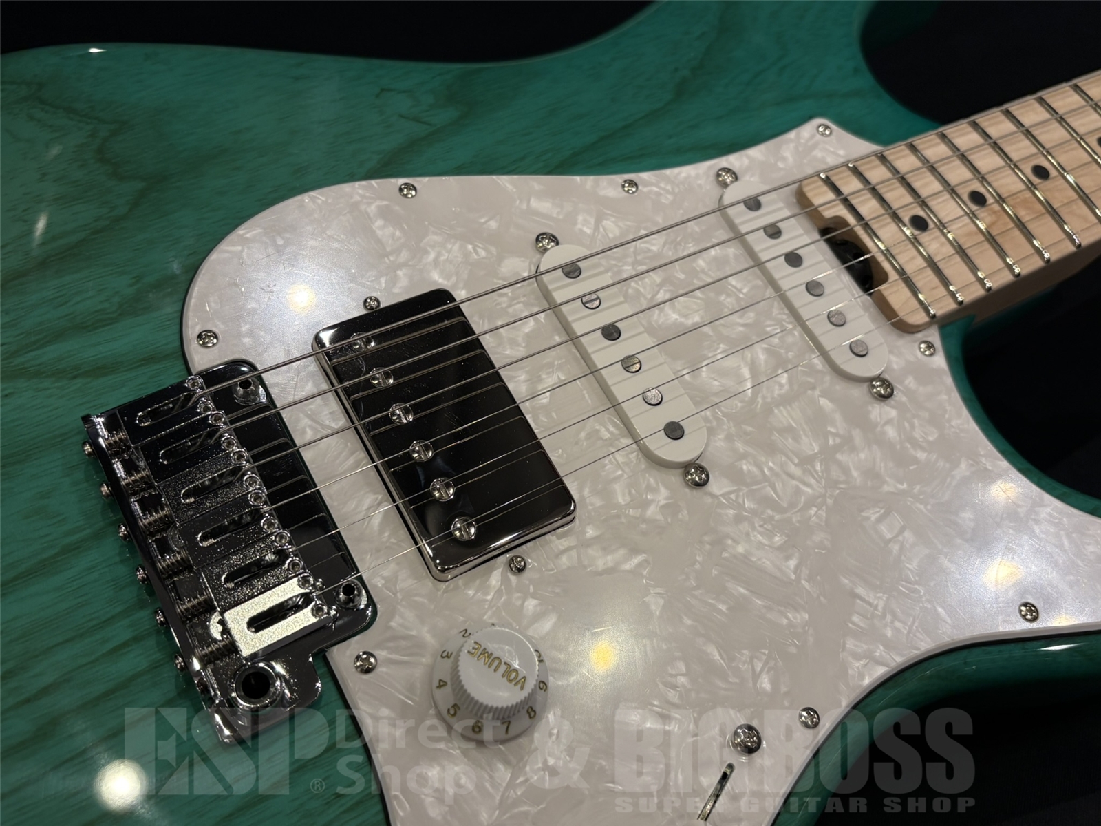 【即納可能】EDWARDS(エドワーズ) E-SNAPPER-AS/M / Turquoise 京都店 - 3