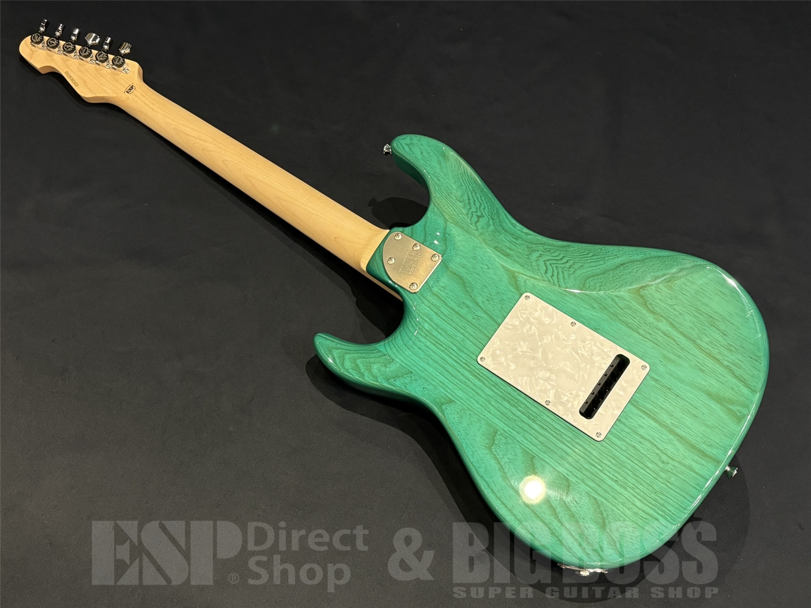 【即納可能】EDWARDS(エドワーズ) E-SNAPPER-AS/M / Turquoise 京都店 - 8