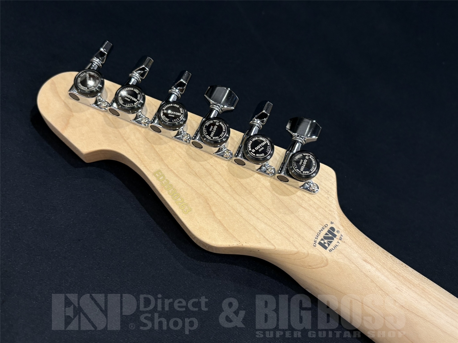 【即納可能】EDWARDS(エドワーズ) E-SNAPPER-AS/M / Turquoise 京都店 - 11