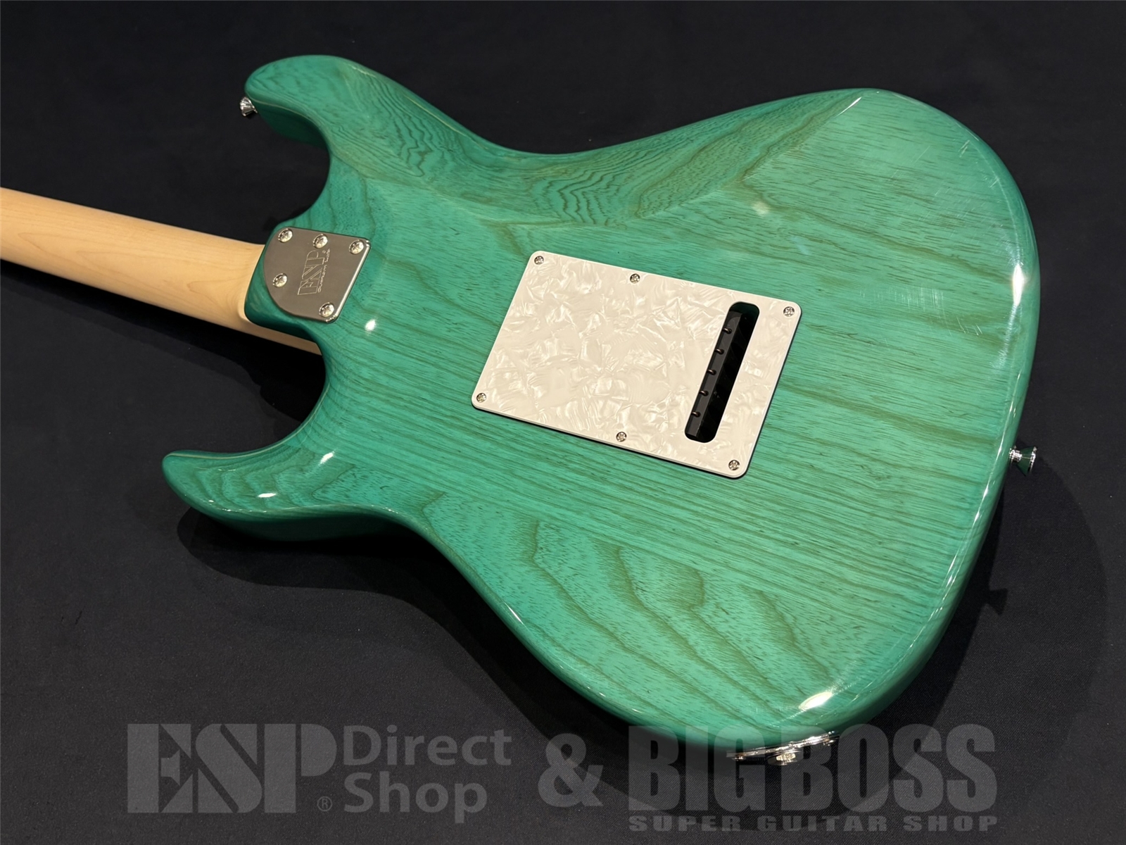 【即納可能】EDWARDS(エドワーズ) E-SNAPPER-AS/M / Turquoise 京都店 - 9