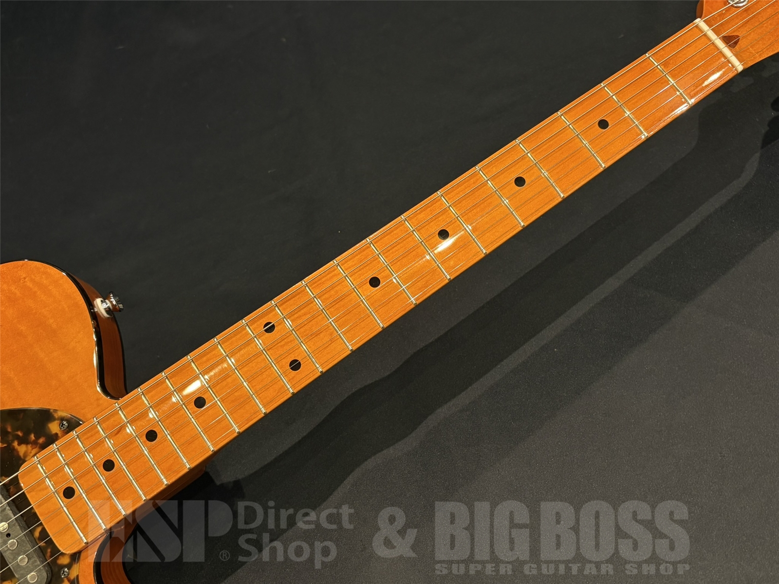 【即納可能】	H.S.Anderson(エイチエスアンダーソン) MAD CAT HS-1 京都店 - 5