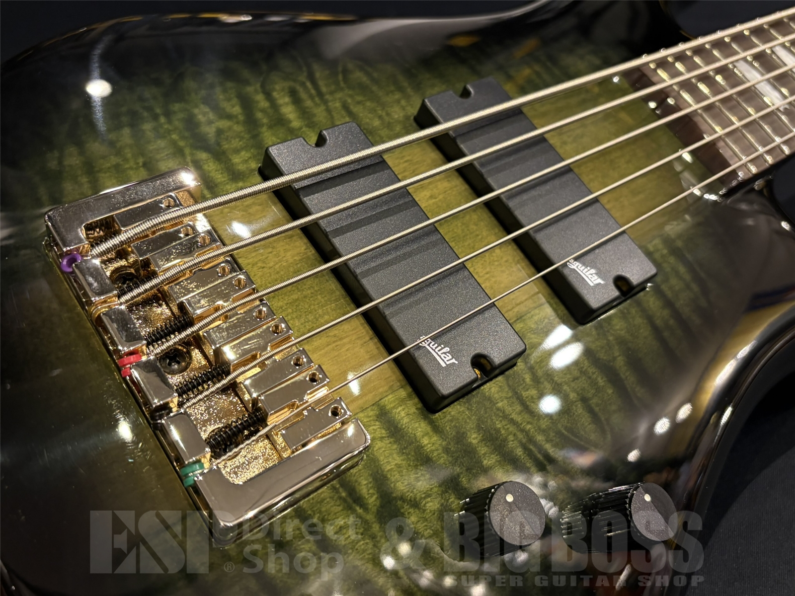 【即納可能】Spector (スペクター)Icon NS-5 Neck-Thru 5 String / Haunted Moss 京都店 - 4