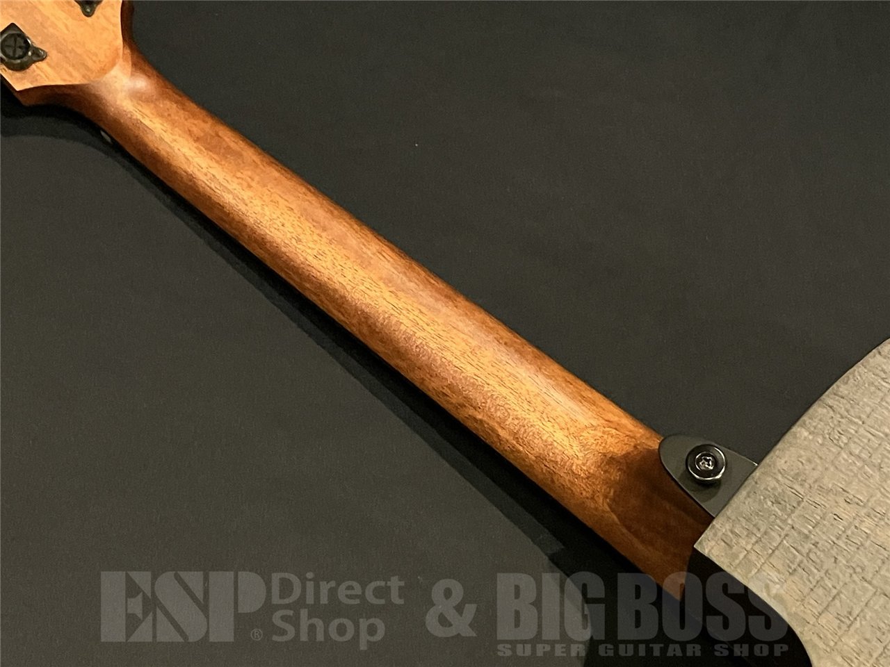 【即納可能】LAG Guitars(ラグギターズ) SAUVAGE-ACE 京都店