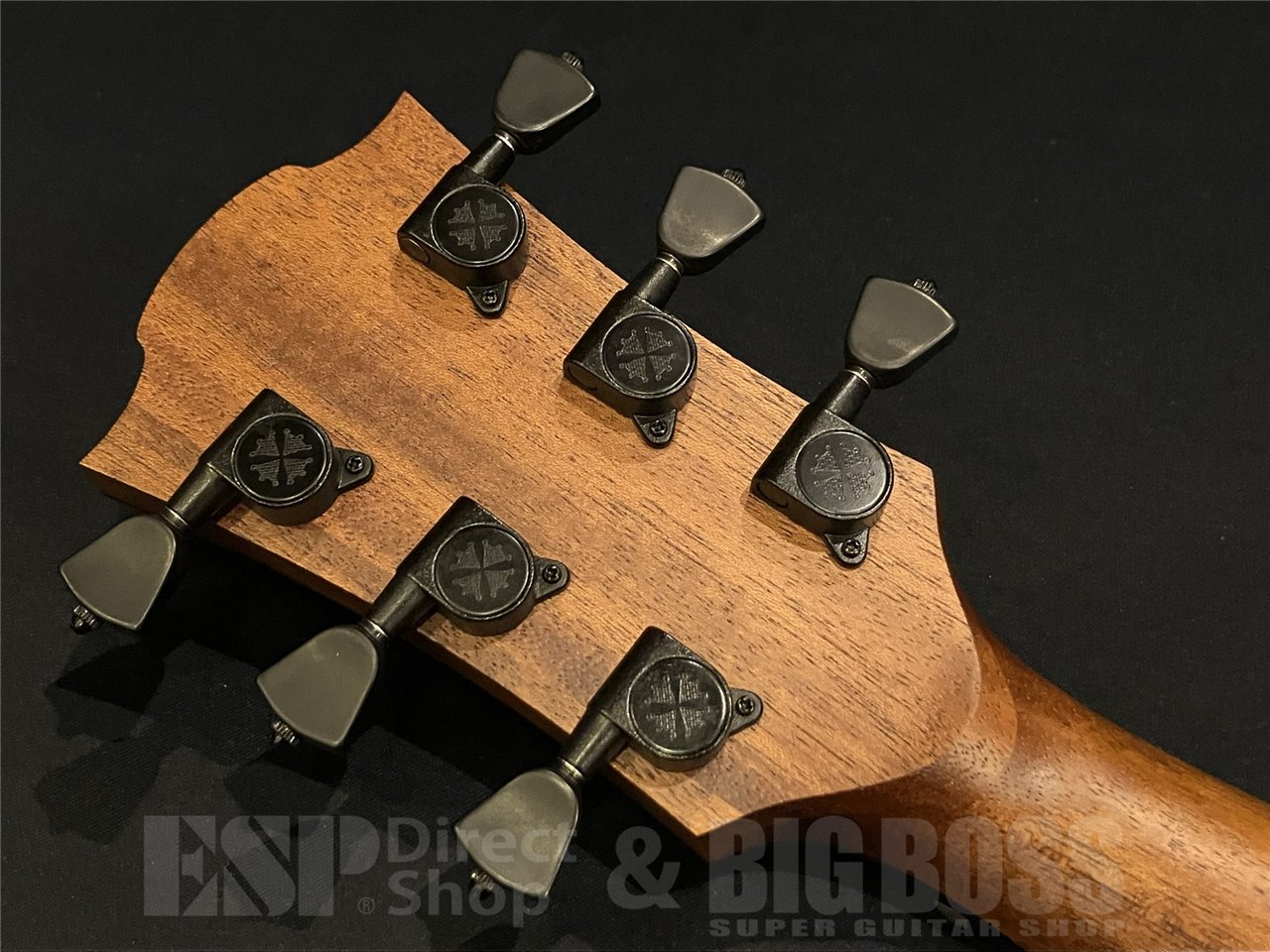 即納可能】LAG Guitars(ラグギターズ) SAUVAGE-ACE 京都店