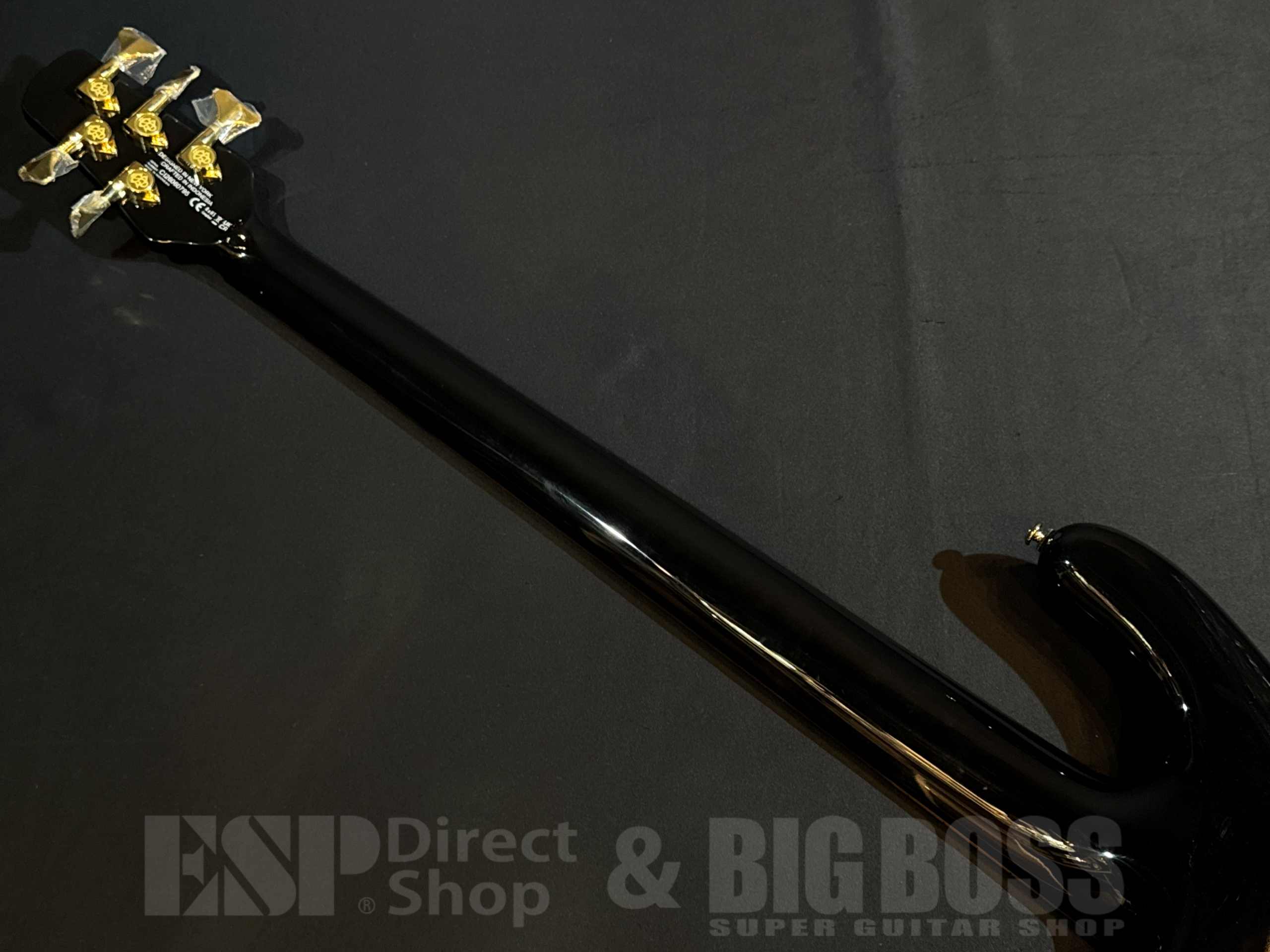 【即納可能】Spector(スペクター) NS Icon NS-5 Neck-Thru 5 String / Black & Blue 大阪店 - 8