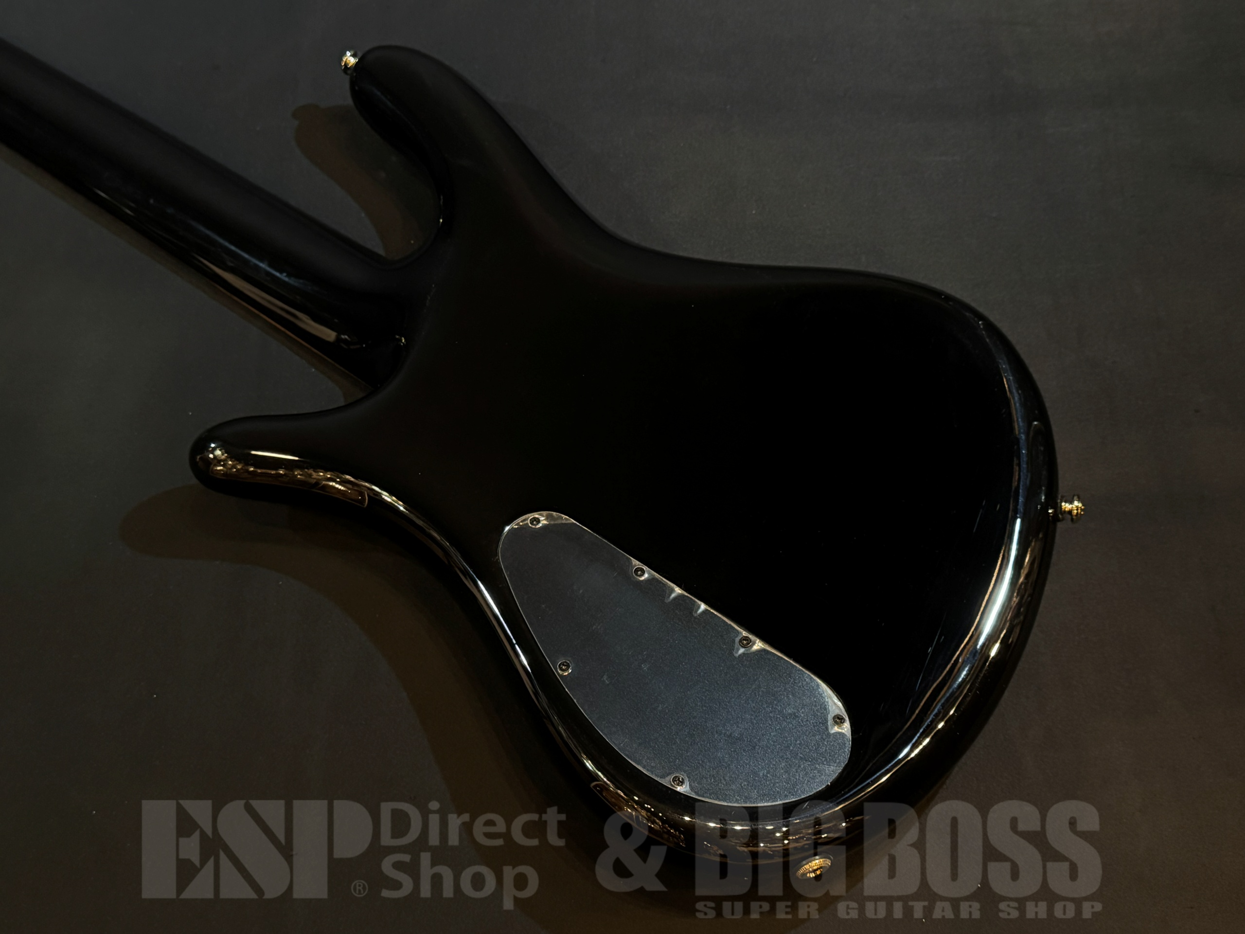 【即納可能】Spector(スペクター) NS Icon NS-5 Neck-Thru 5 String / Black & Blue 大阪店 - 7