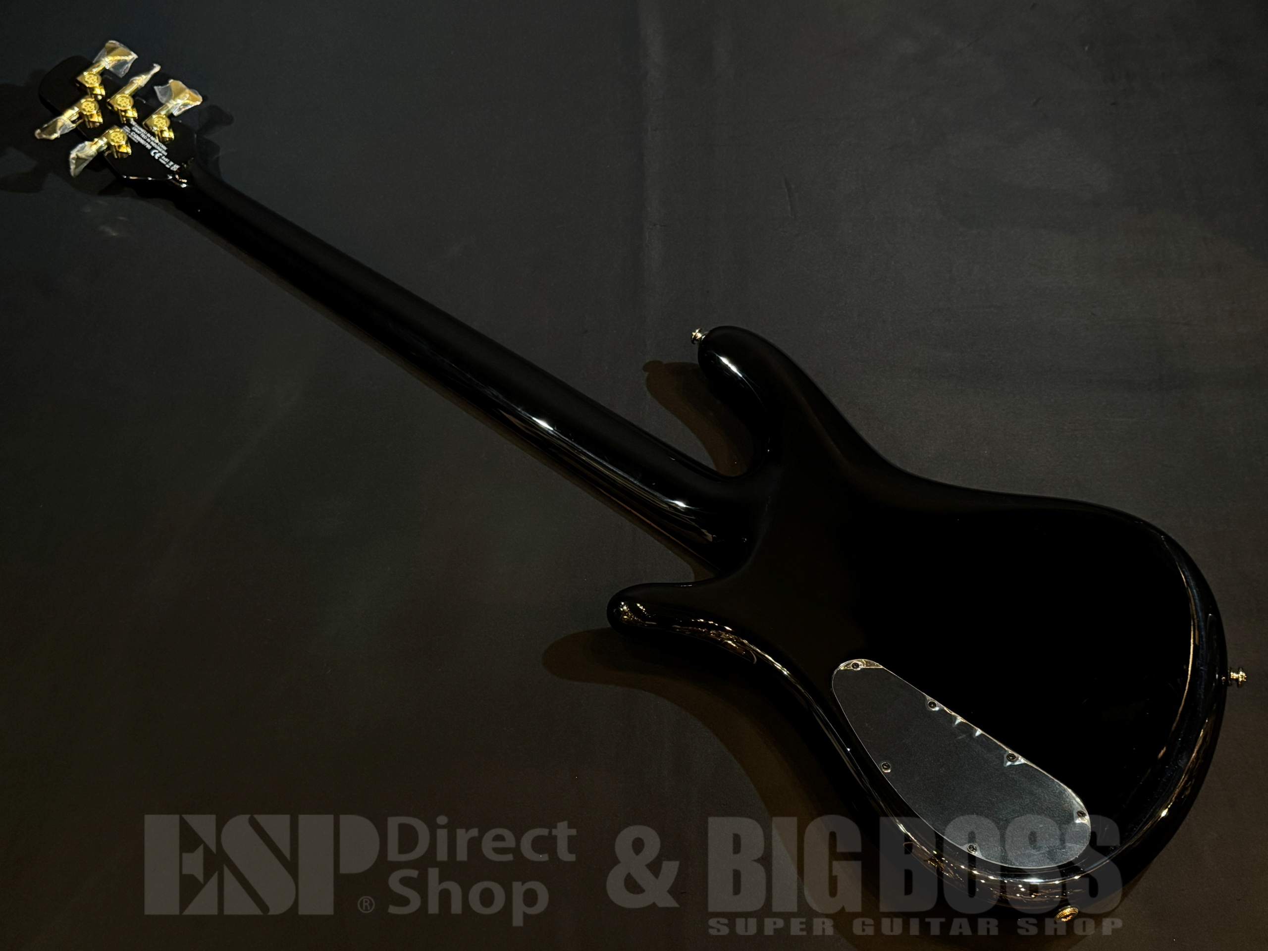 【即納可能】Spector(スペクター) NS Icon NS-5 Neck-Thru 5 String / Black & Blue 大阪店 - 6