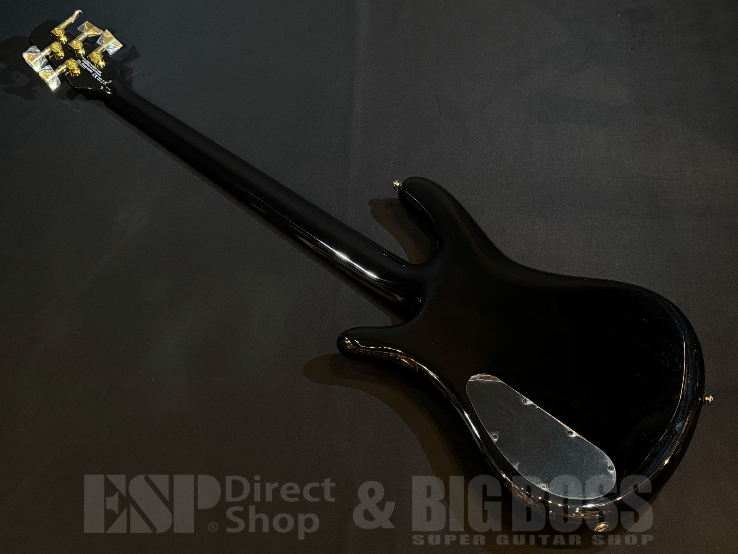 【即納可能】Spector(スペクター) NS Icon NS-5 Neck-Thru 5 String / Haunted Moss 大阪店 - 6