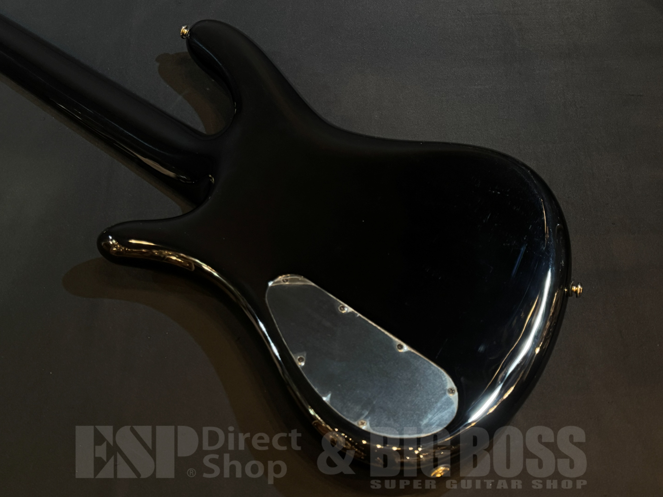 【即納可能】Spector(スペクター) NS Icon NS-5 Neck-Thru 5 String / Haunted Moss 大阪店 - 7