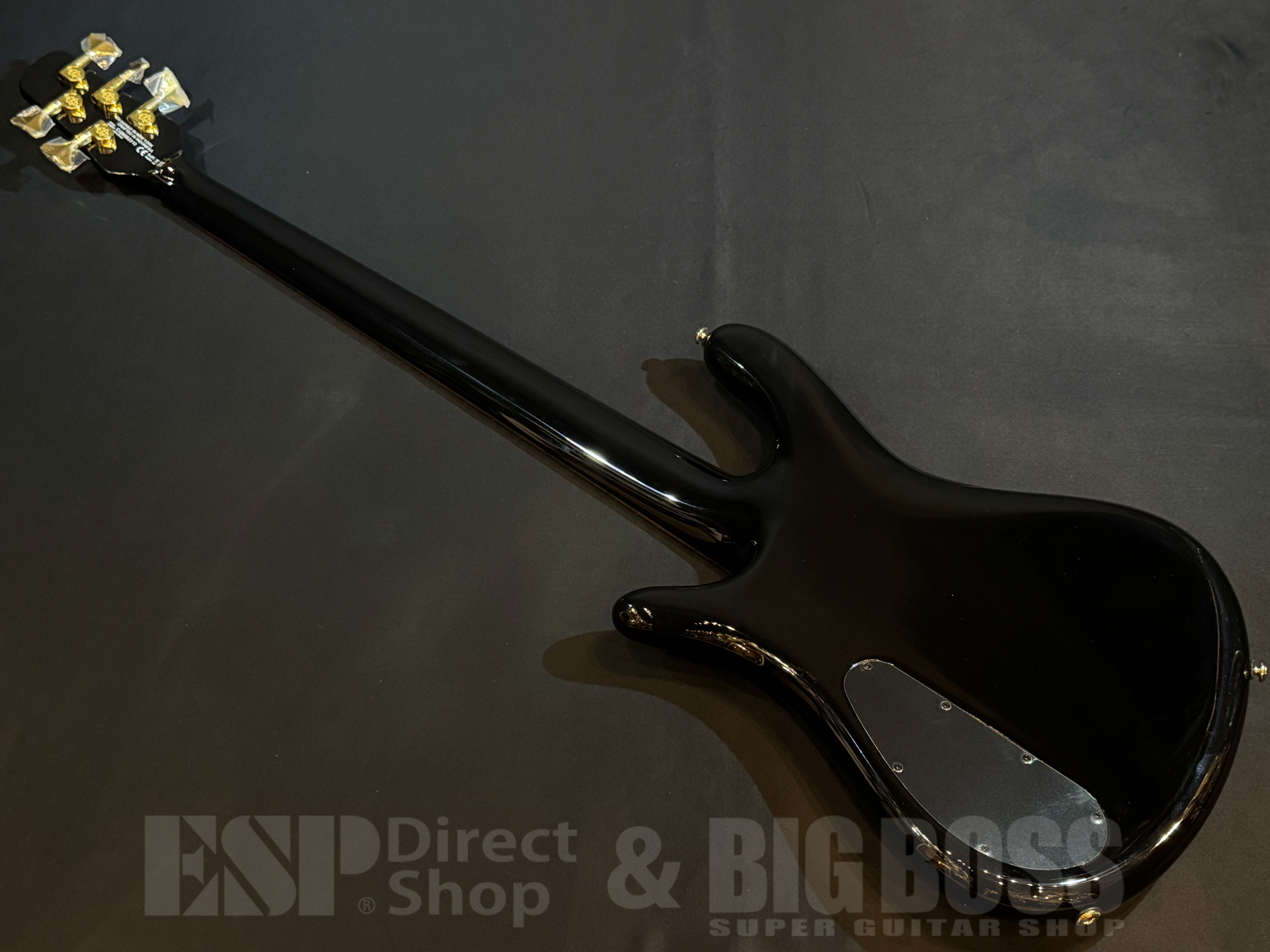 【即納可能】Spector(スペクター) NS Icon NS-5 Neck-Thru 5 String / Black Stain 大阪店 - 6