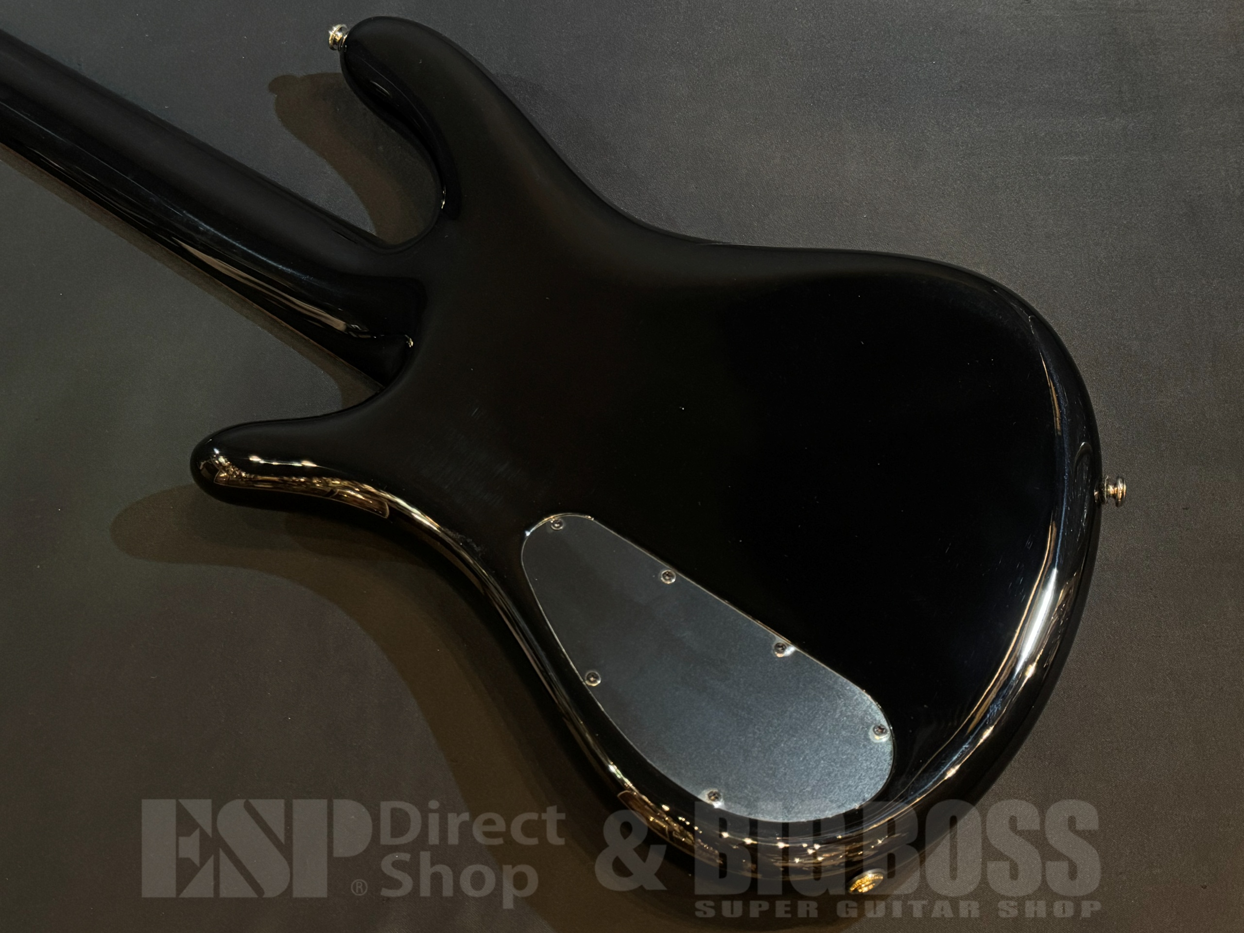 【即納可能】Spector(スペクター) NS Icon NS-5 Neck-Thru 5 String / Black Stain 大阪店 - 7