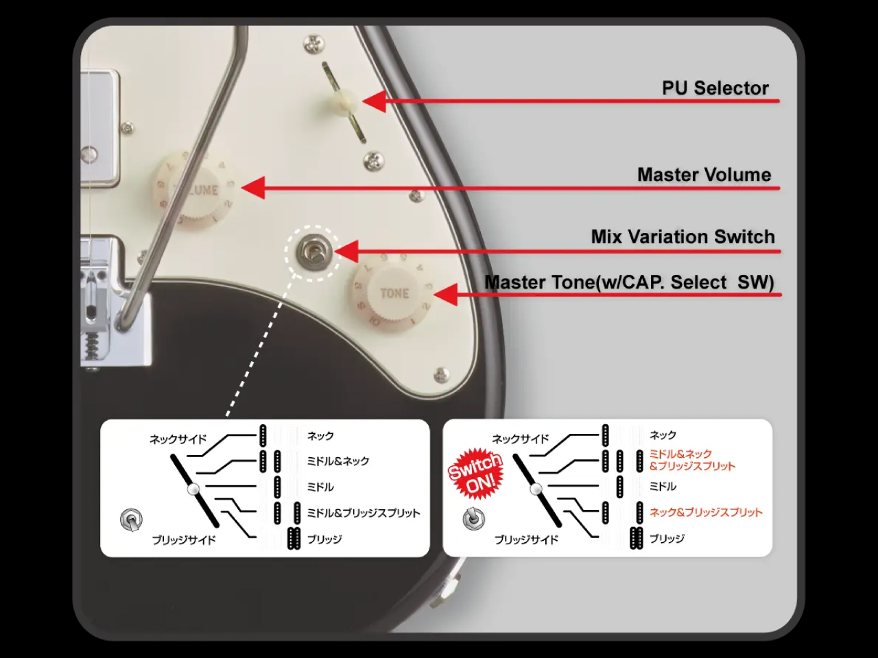 【受注生産】ESP(イーエスピー) SNAPPER-AS (Honey Blond)