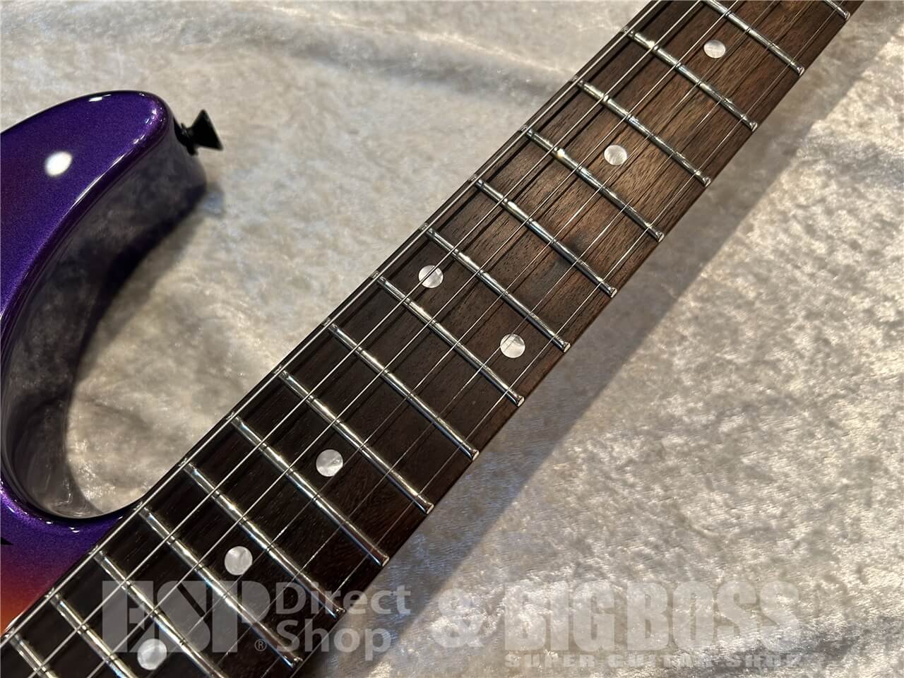 【即納可能】EDWARDS（エドワーズ）E-PURPLE TIGER / Purple Sunburst Tiger Graphic 仙台店 - 4