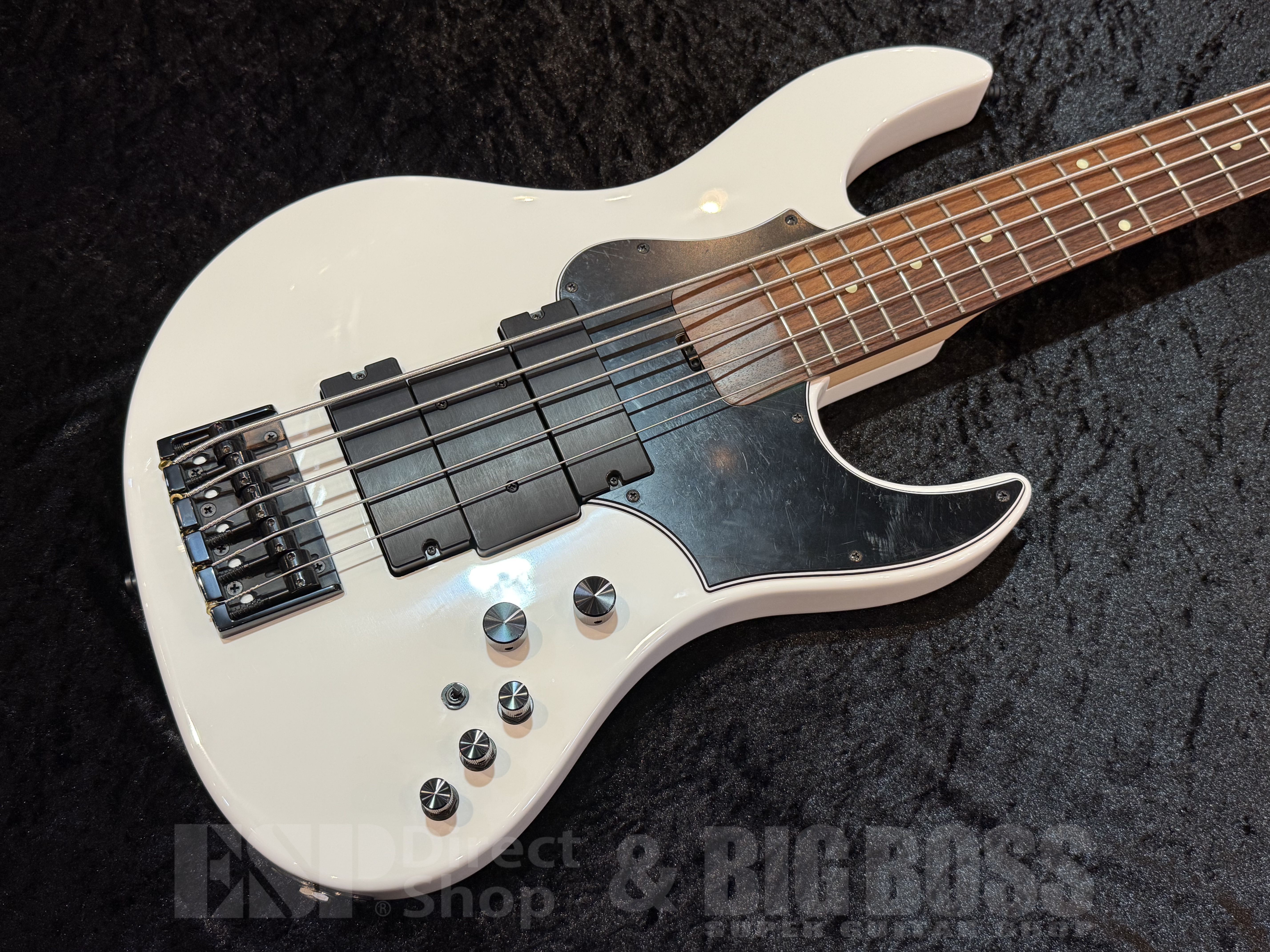 ベース EDWARDS Platinum Edition E-AMAZE-5-190 EDWARDS Platinum Edition E-AMAZE-5-190 R (Red) [IKUO