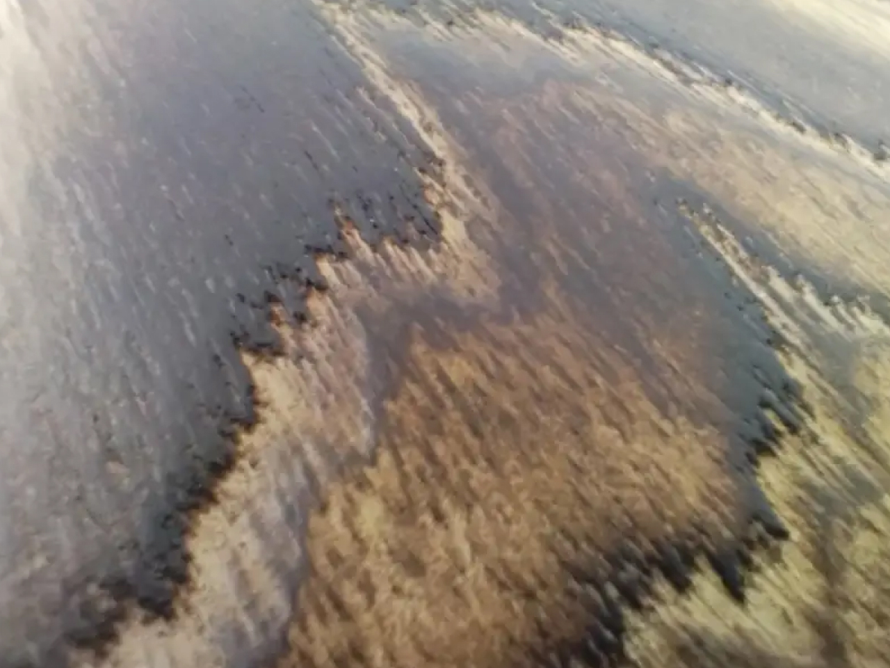 【受注生産】ESP(イーエスピー) SNAPPER-AS (Driftwood Burner Satin)