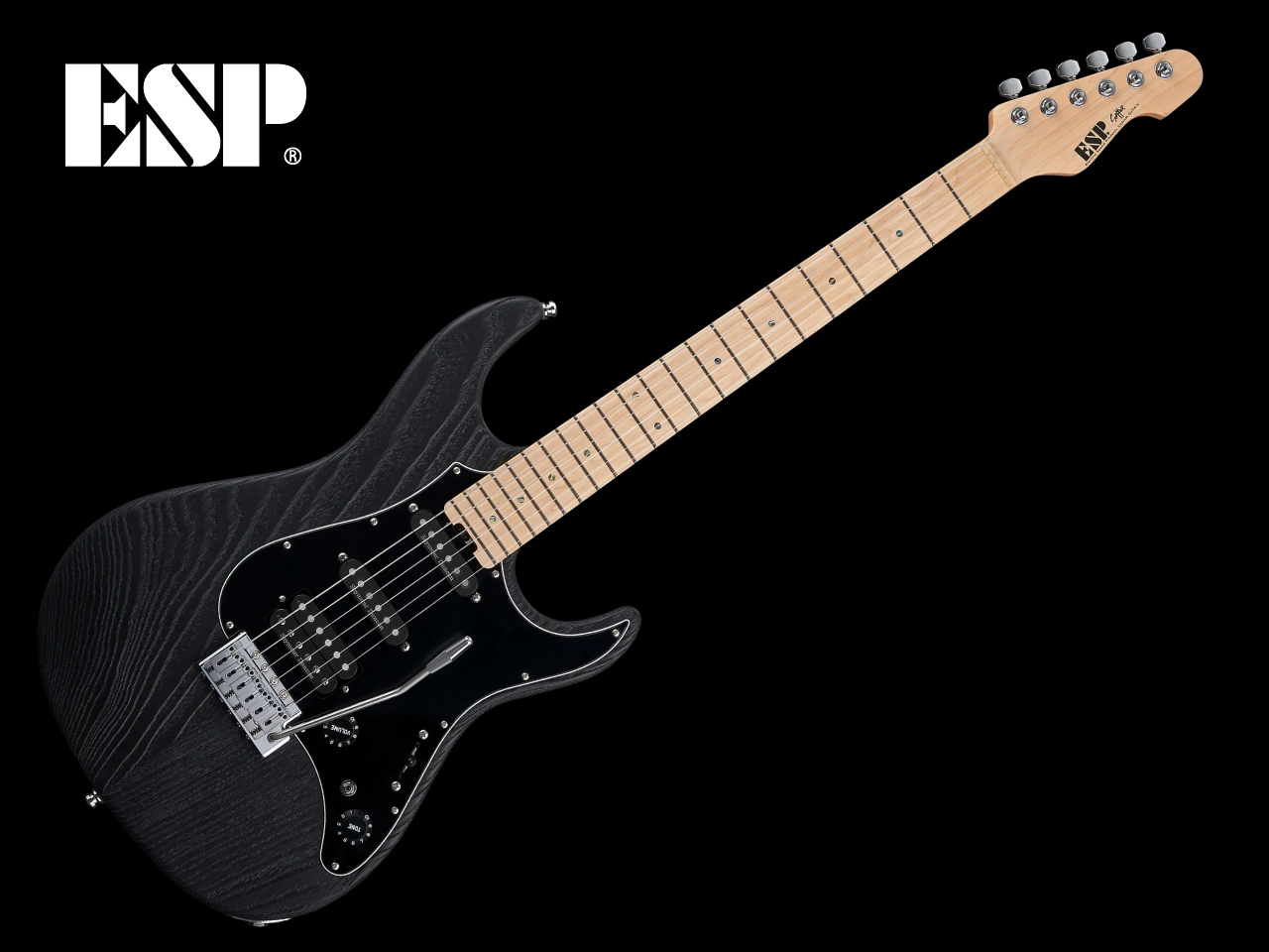 SNAPPER Series - 【ESP直営】BIGBOSS オンラインマーケット