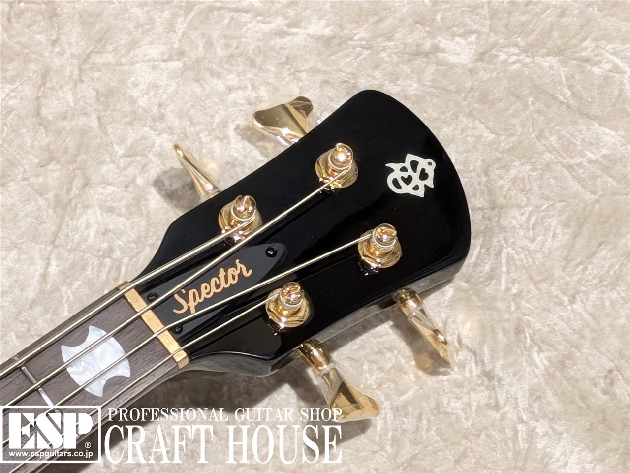 【即納可能】Spector / Icon NS-2 Neck Through / Black Stain 渋谷店 - 4