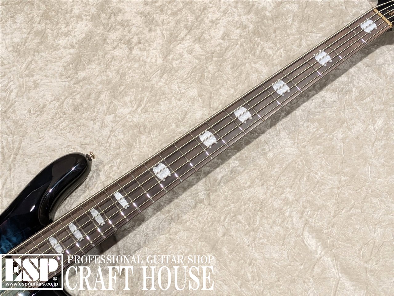 【即納可能】Spector / Icon NS-5 Neck Through / Black and Blue　渋谷店 - 3
