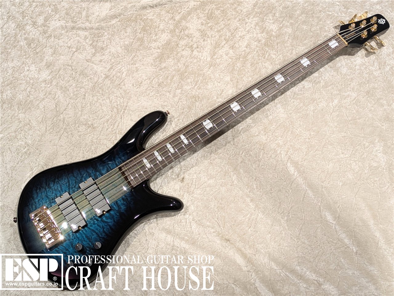 【即納可能】Spector / Icon NS-5 Neck Through / Black and Blue　渋谷店