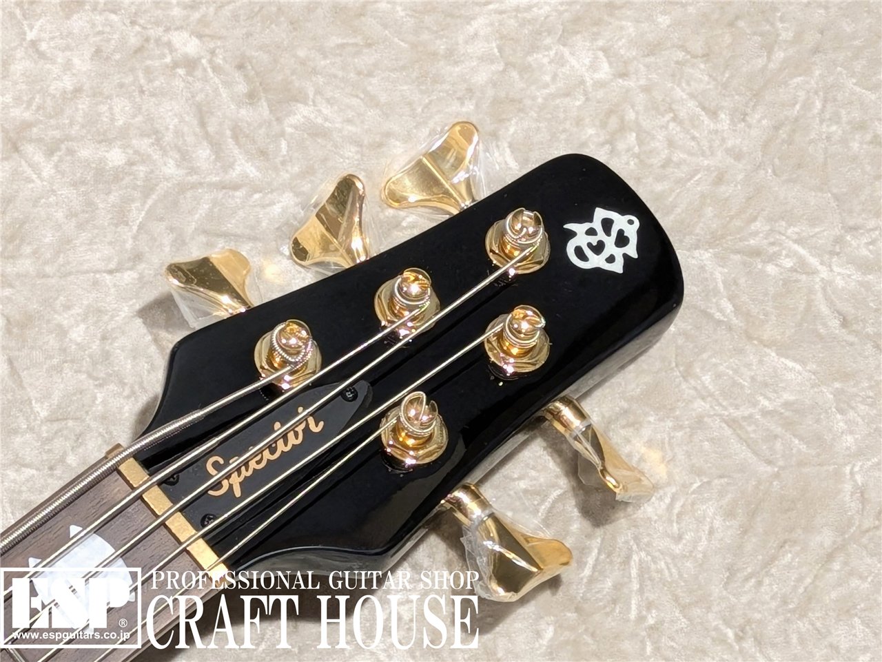 【即納可能】Spector / Icon NS-5 Neck Through / Black and Blue　渋谷店 - 4